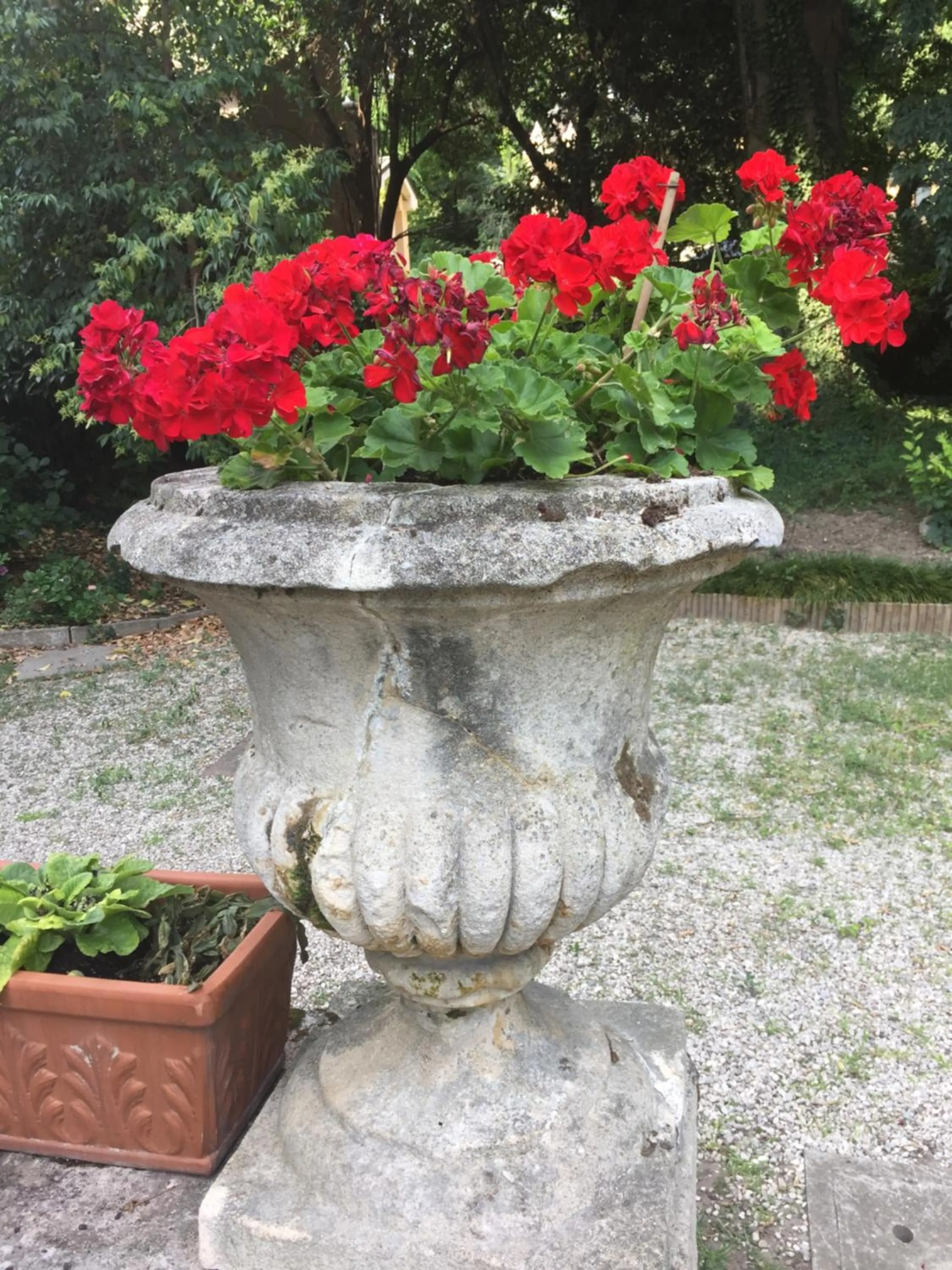 Garden in Palazzo Mantua Benavides Suites & Apartments