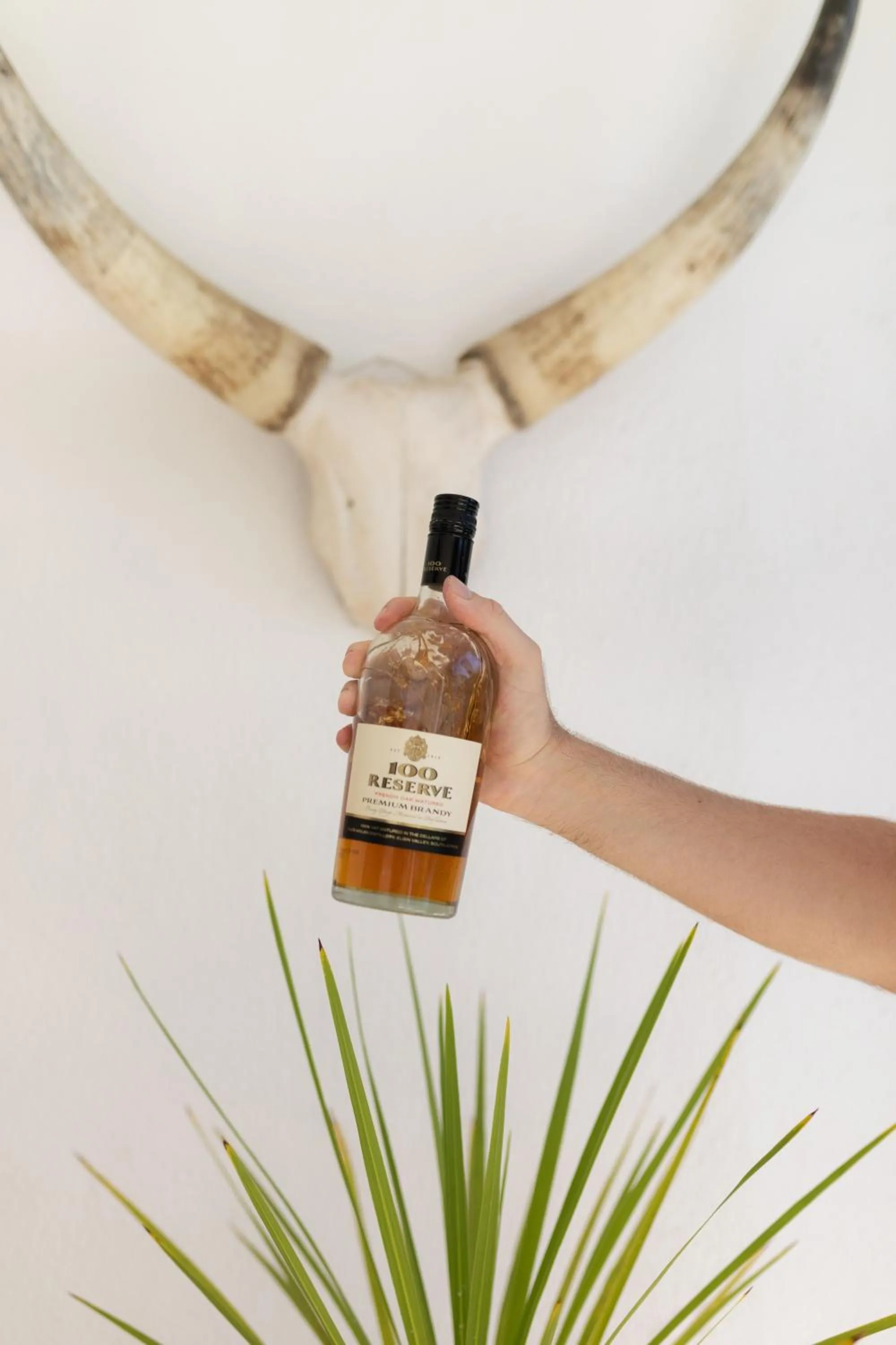 Alcoholic drinks in Cape Diem Lodge