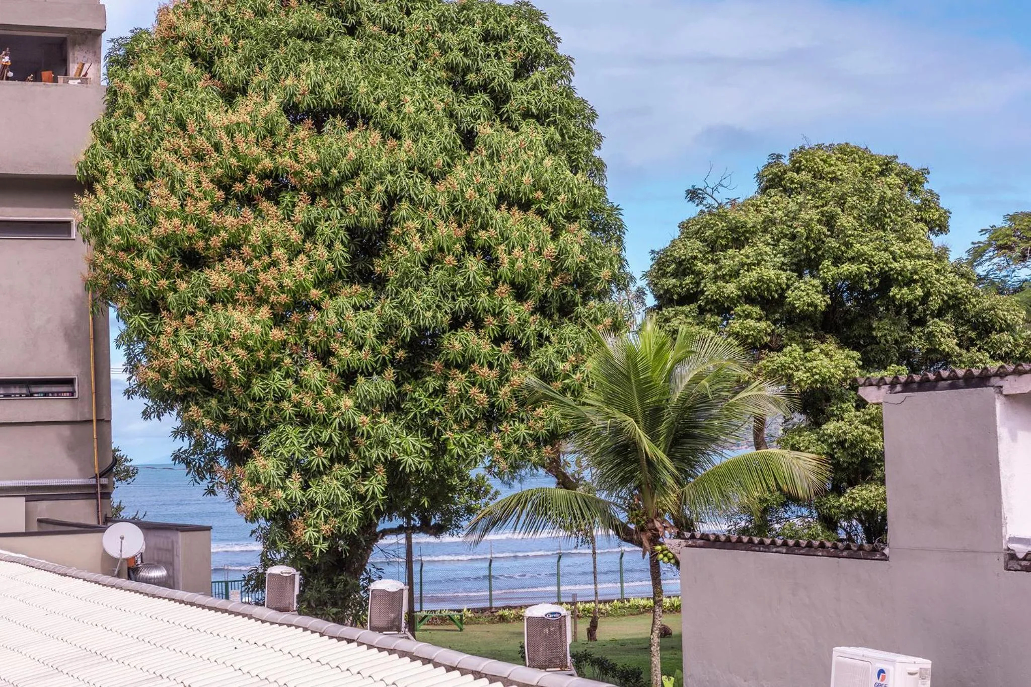 Balcony/Terrace in Hotel Village Enseada