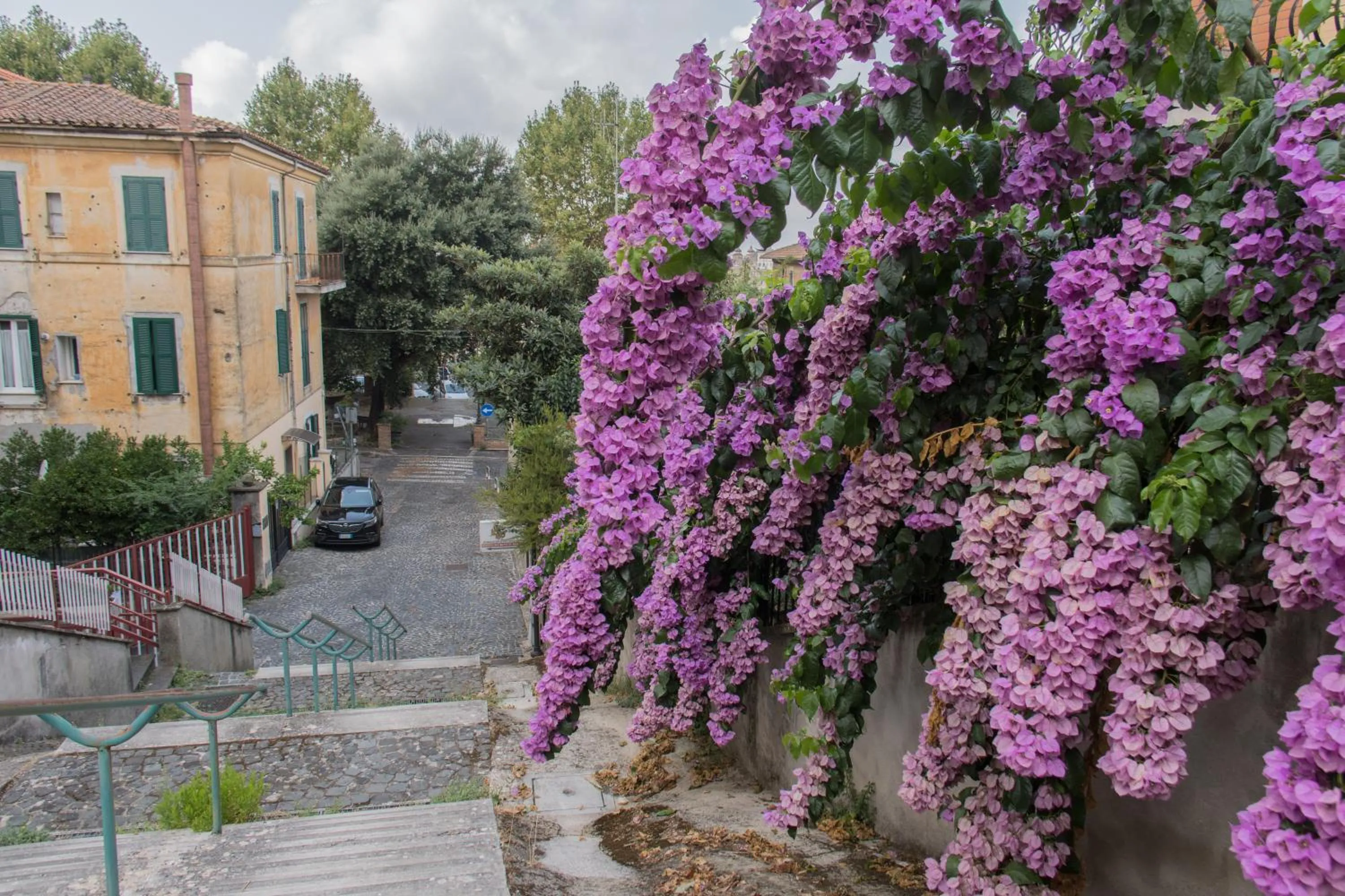 Quiet street view in Big Family