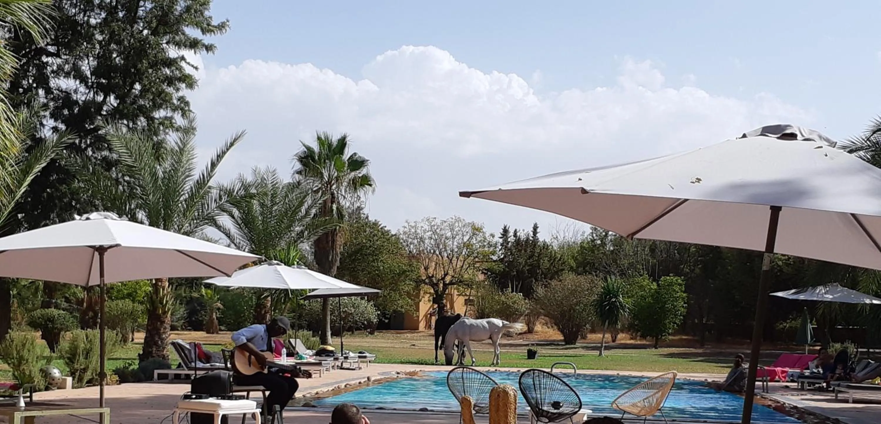 Horse-riding in La Vie En Rose - Horses & Dogs House