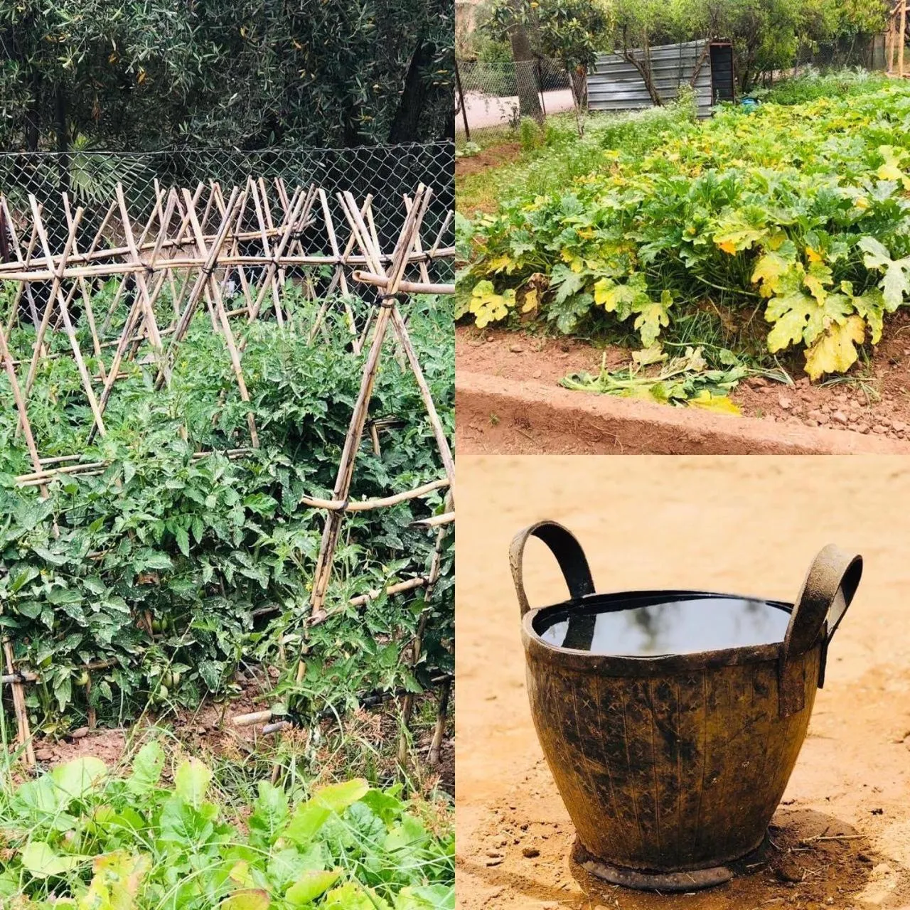 Activities in La Vie En Rose - Horses & Dogs House