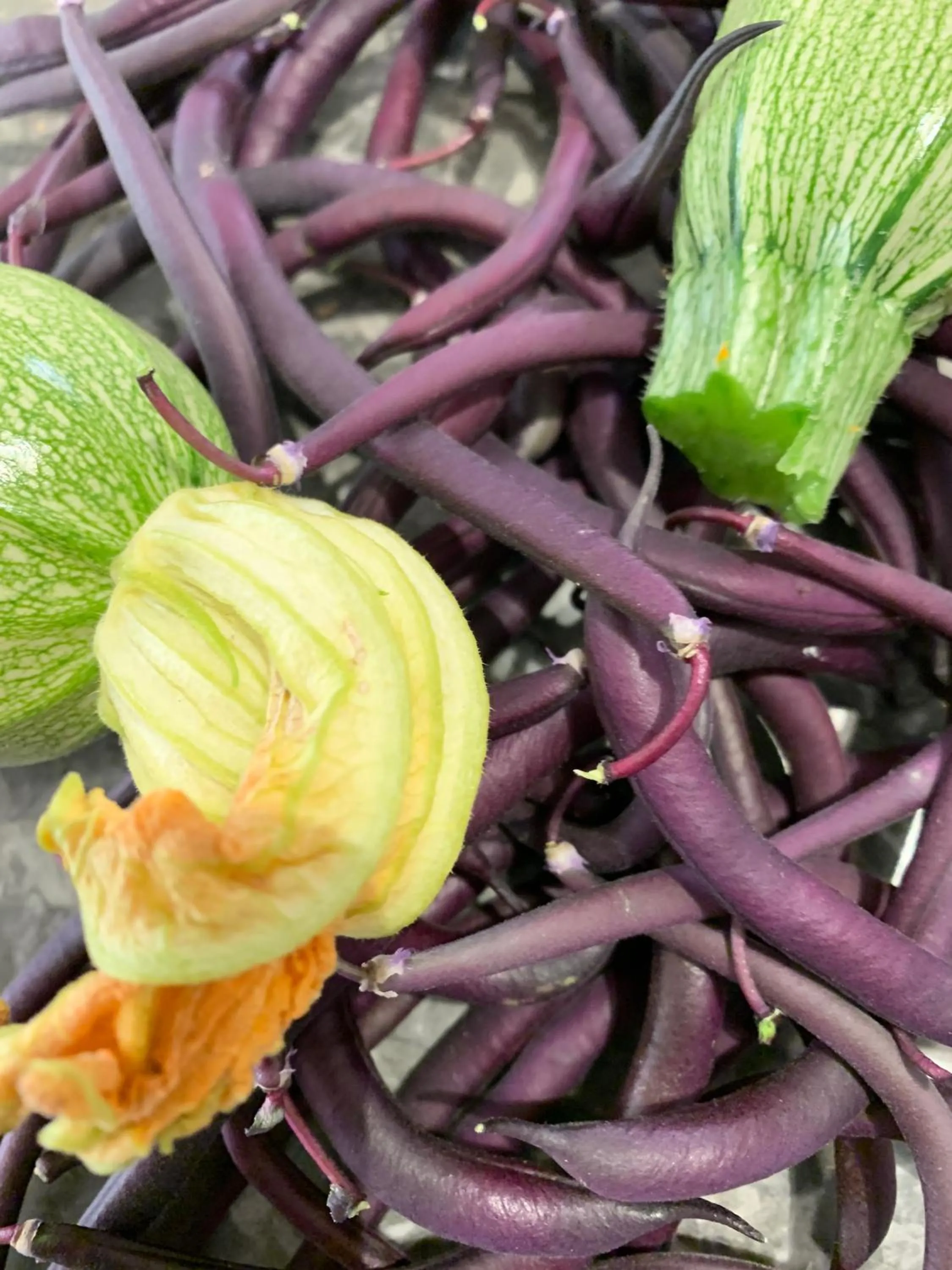 Food and drinks in La Vie En Rose - Horses & Dogs House