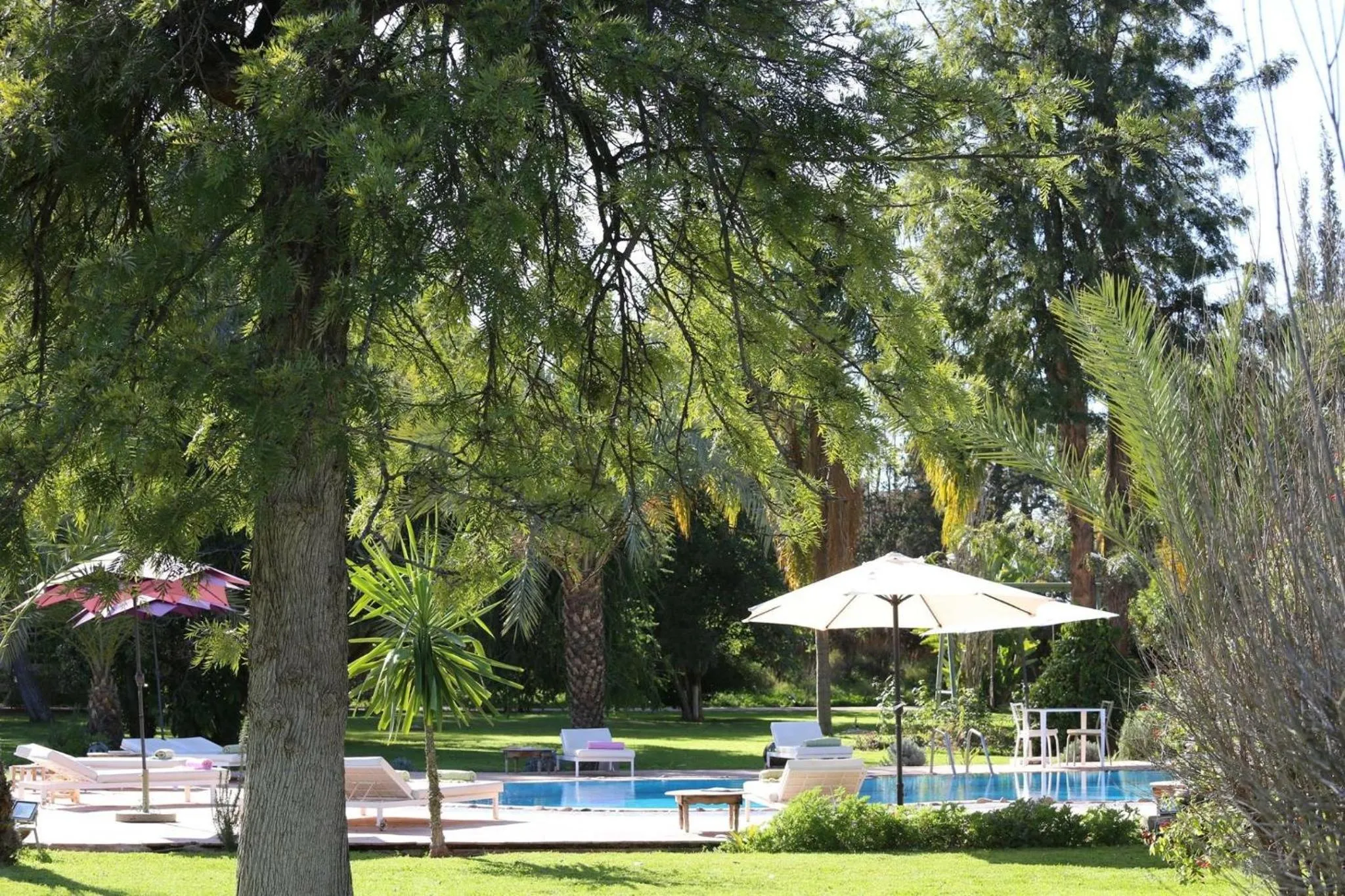 Bedroom in La Vie En Rose - Horses & Dogs House