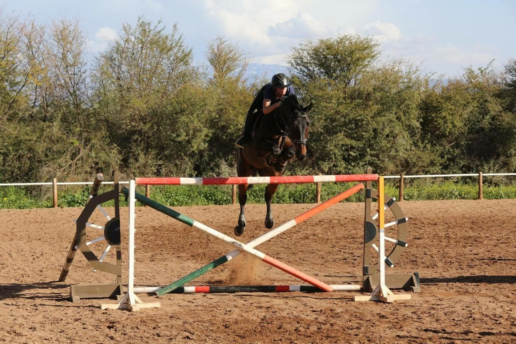 Bedroom in La Vie En Rose - Horses & Dogs House