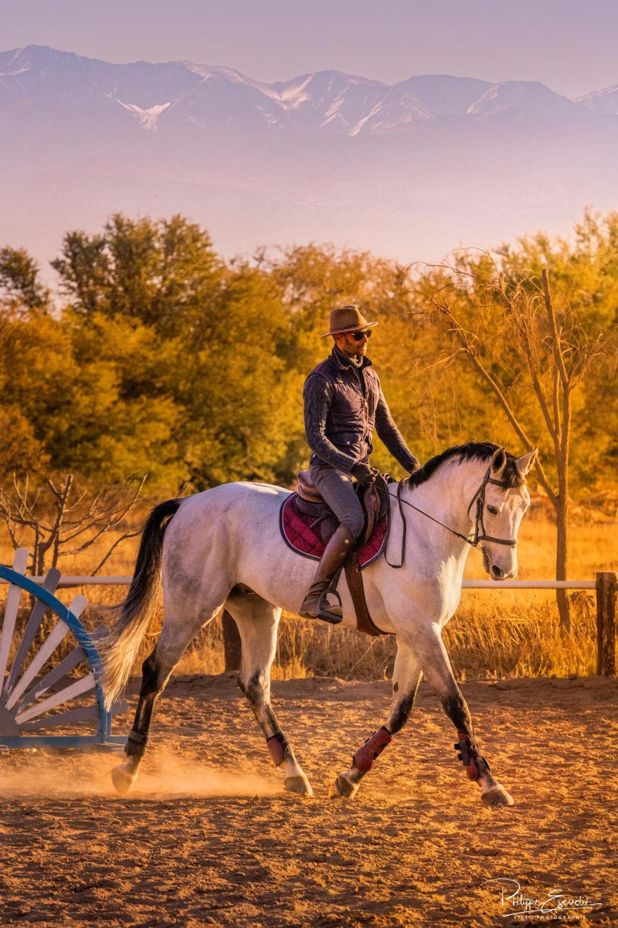 Horse-riding in La Vie En Rose - Horses & Dogs House