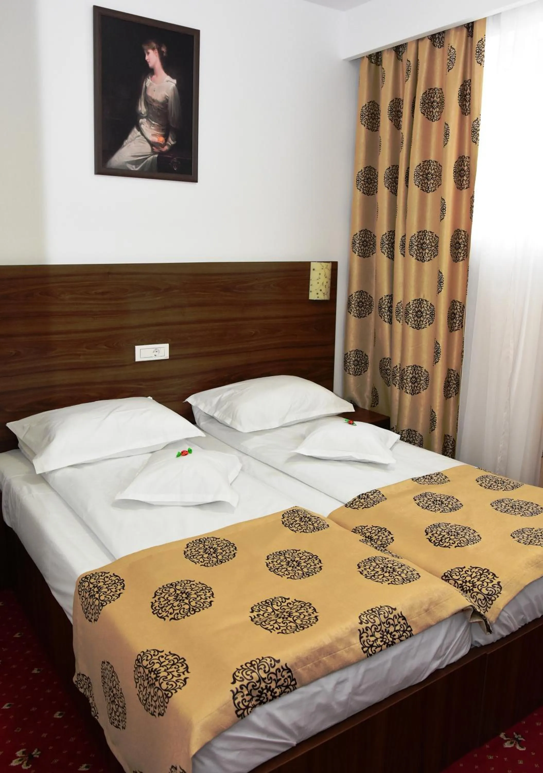 Photo of the whole room, Bed in Hostel Orhideea