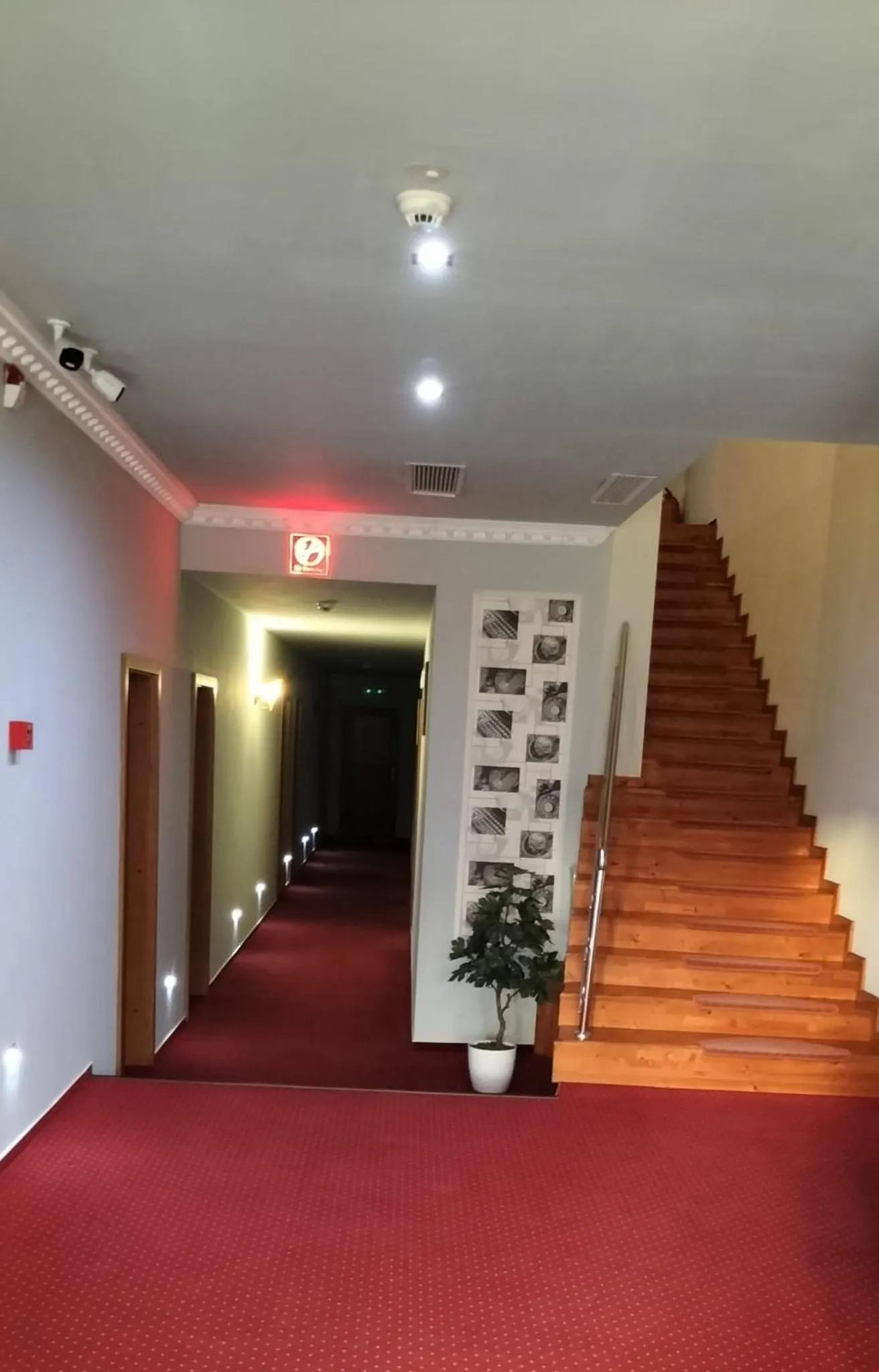 Property building in Hostel Orhideea