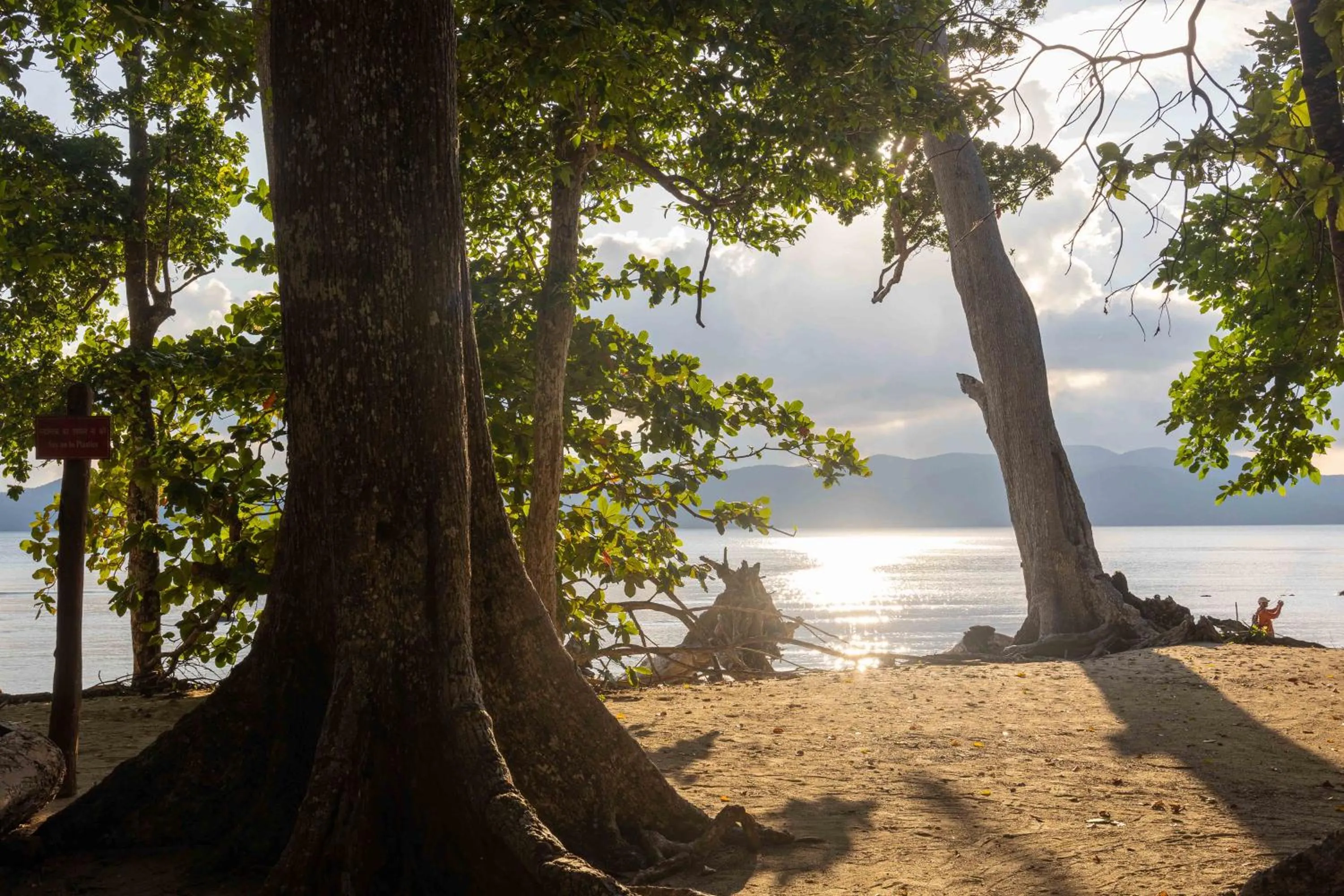 Other in Coral Reef Resort & Spa, Havelock