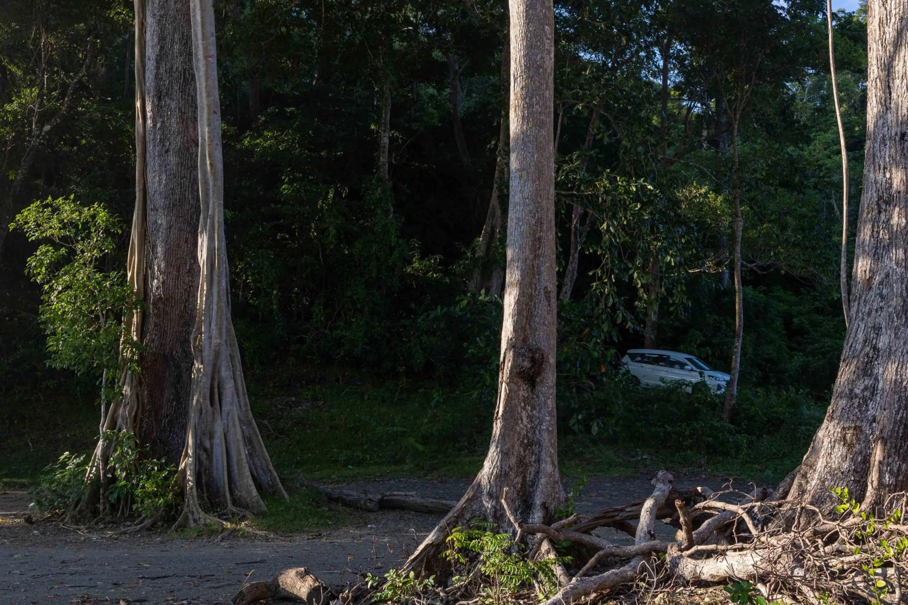 Other in Coral Reef Resort & Spa, Havelock