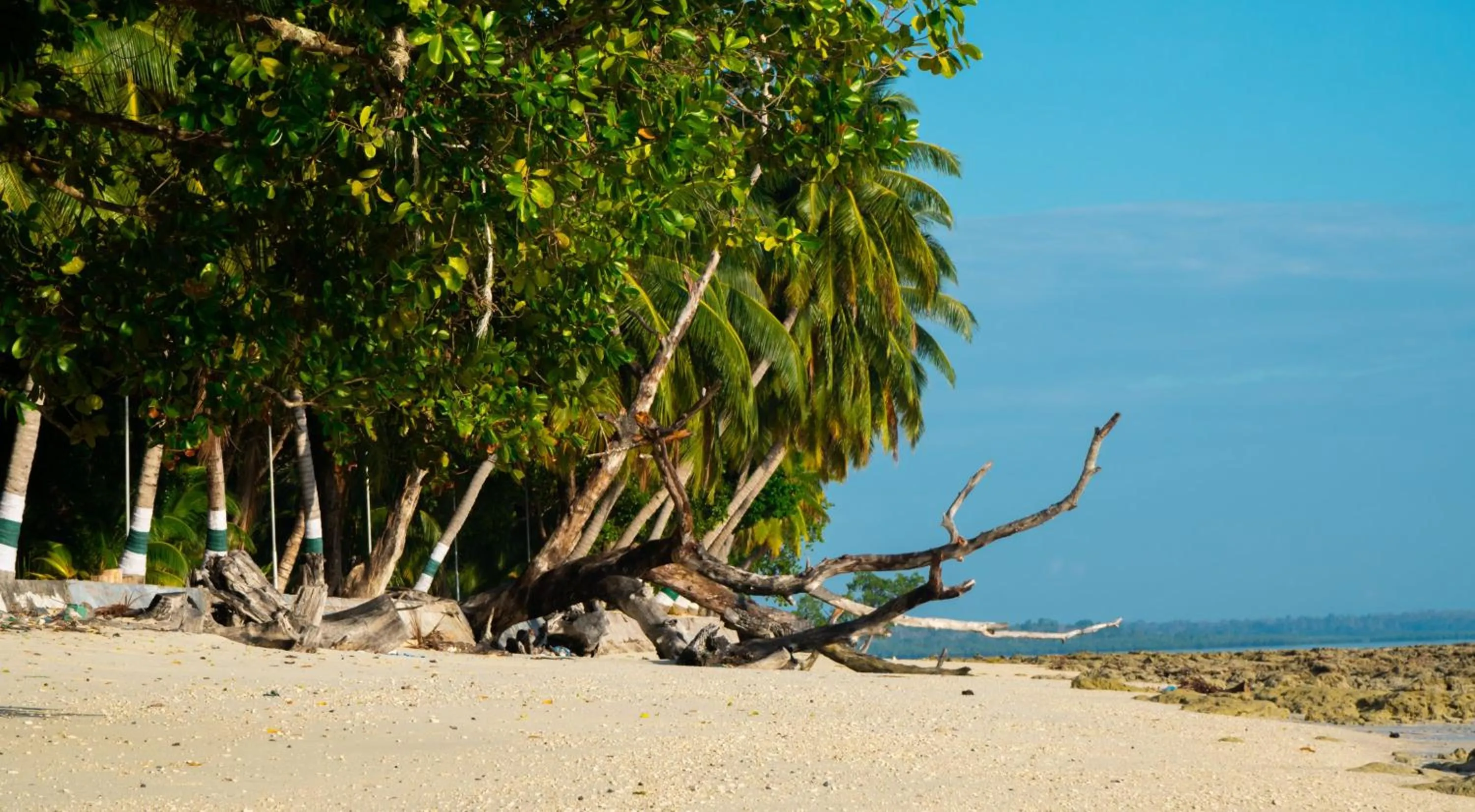 Beach in Coral Reef Resort & Spa, Havelock