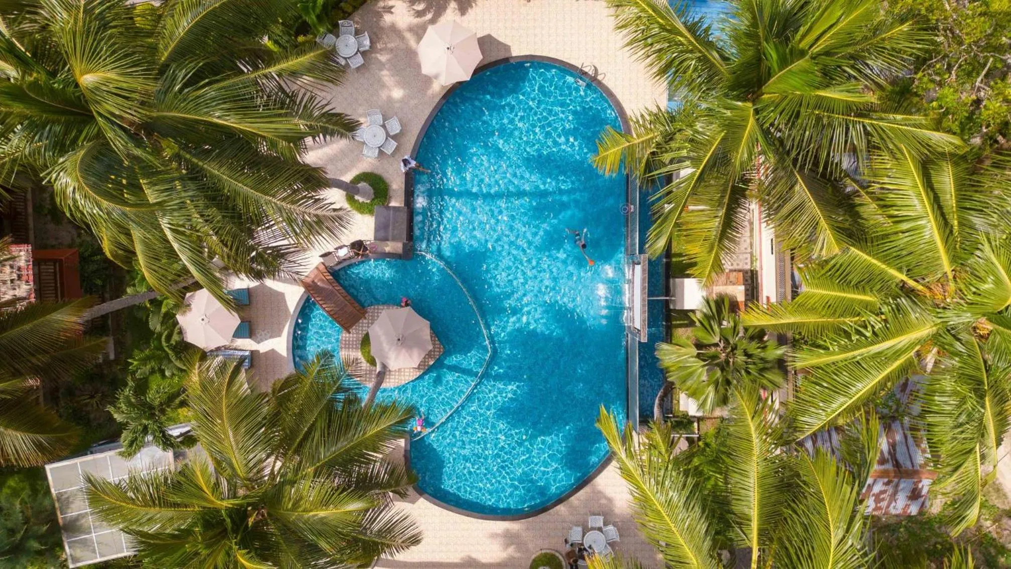 Swimming pool in Coral Reef Resort & Spa, Havelock