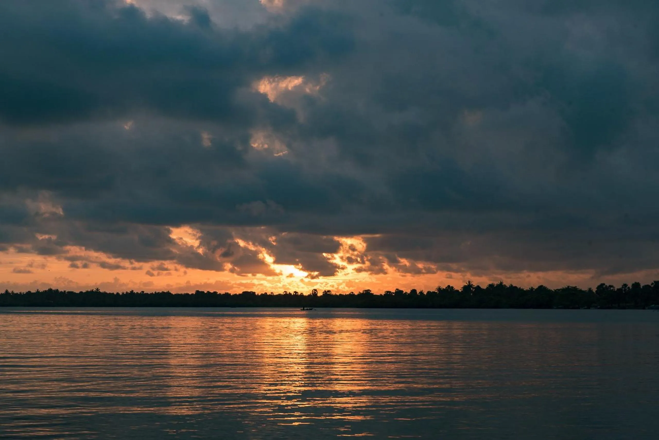 View (from property/room) in The Cove Pasikuda - Eco Resort