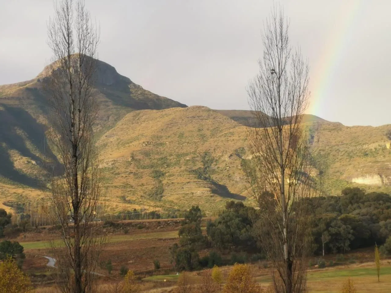 View (from property/room) in By The Way Guesthouse