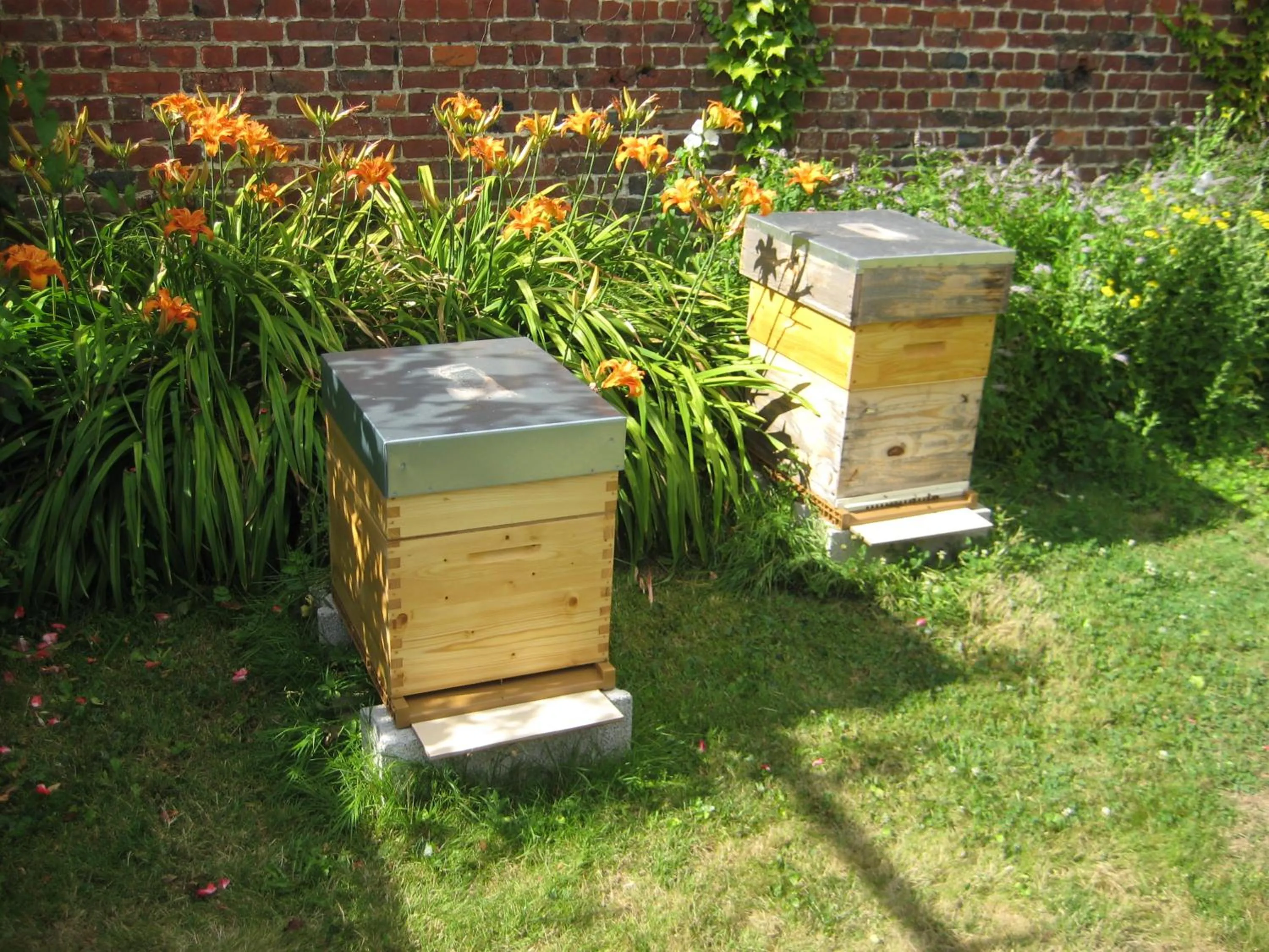 Animals in Le Clos Boutenelle