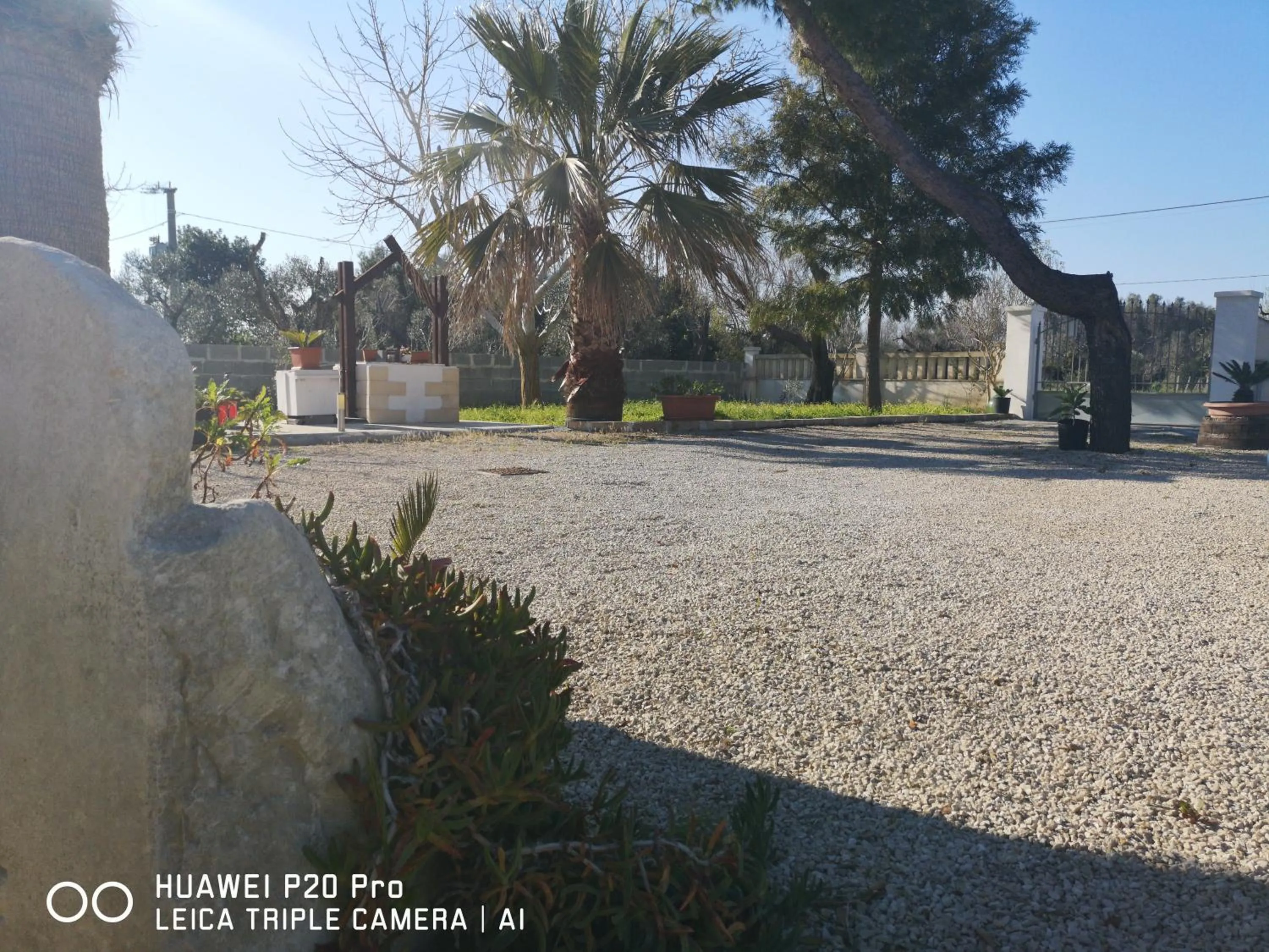 Garden in B&B Angolo Magico