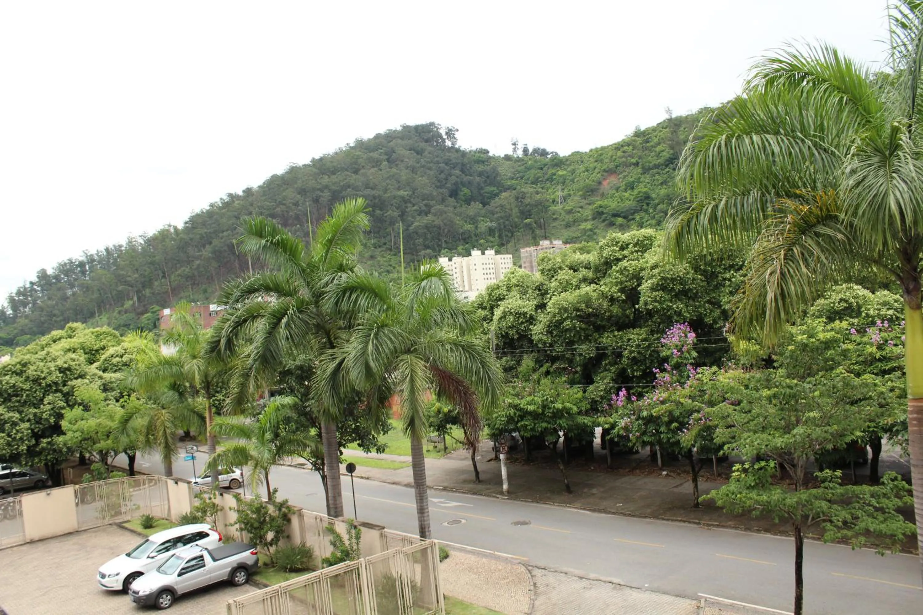 Mountain view in Hotel Dom Henrique