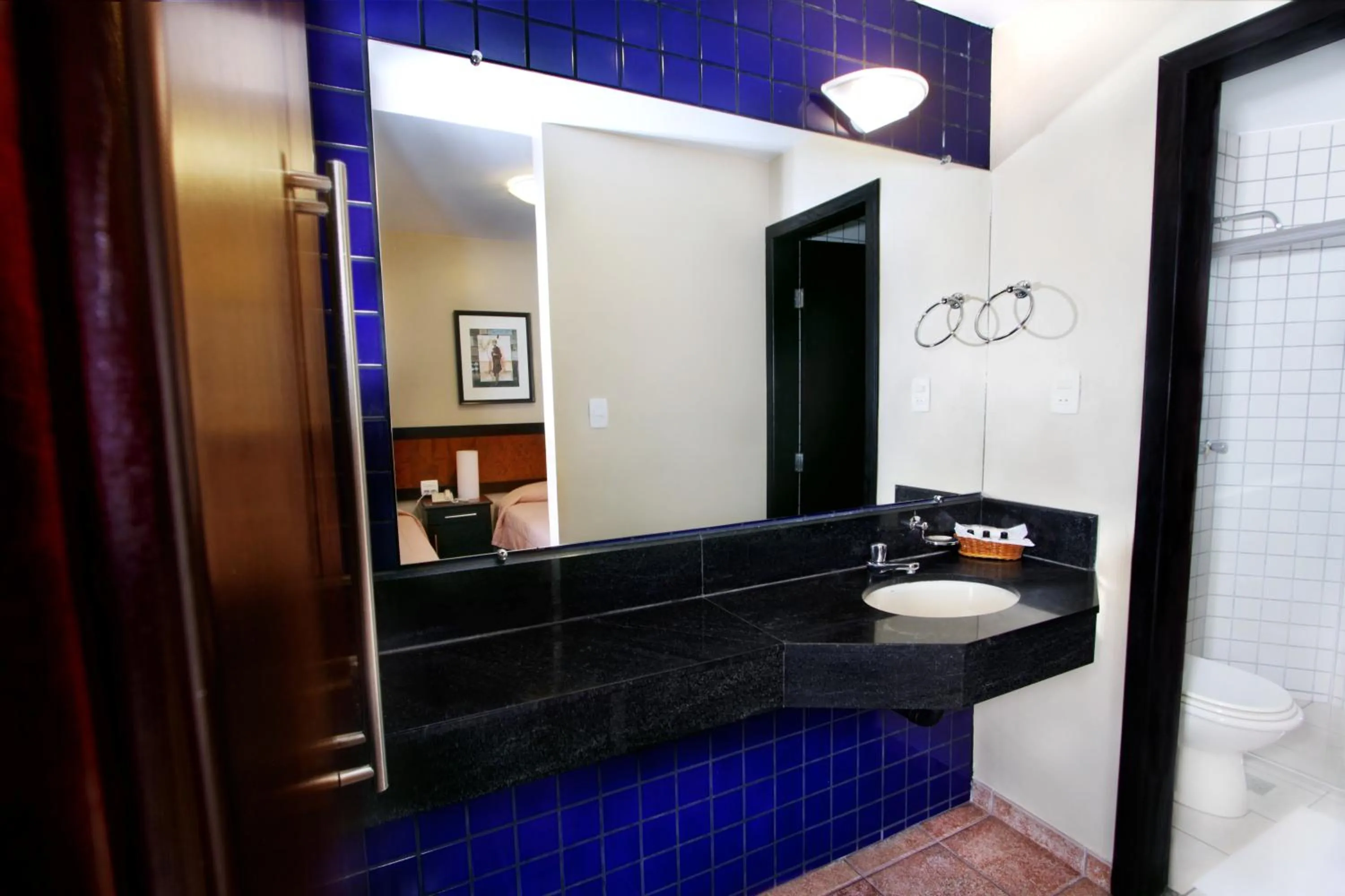 Bathroom in Hotel Dom Henrique