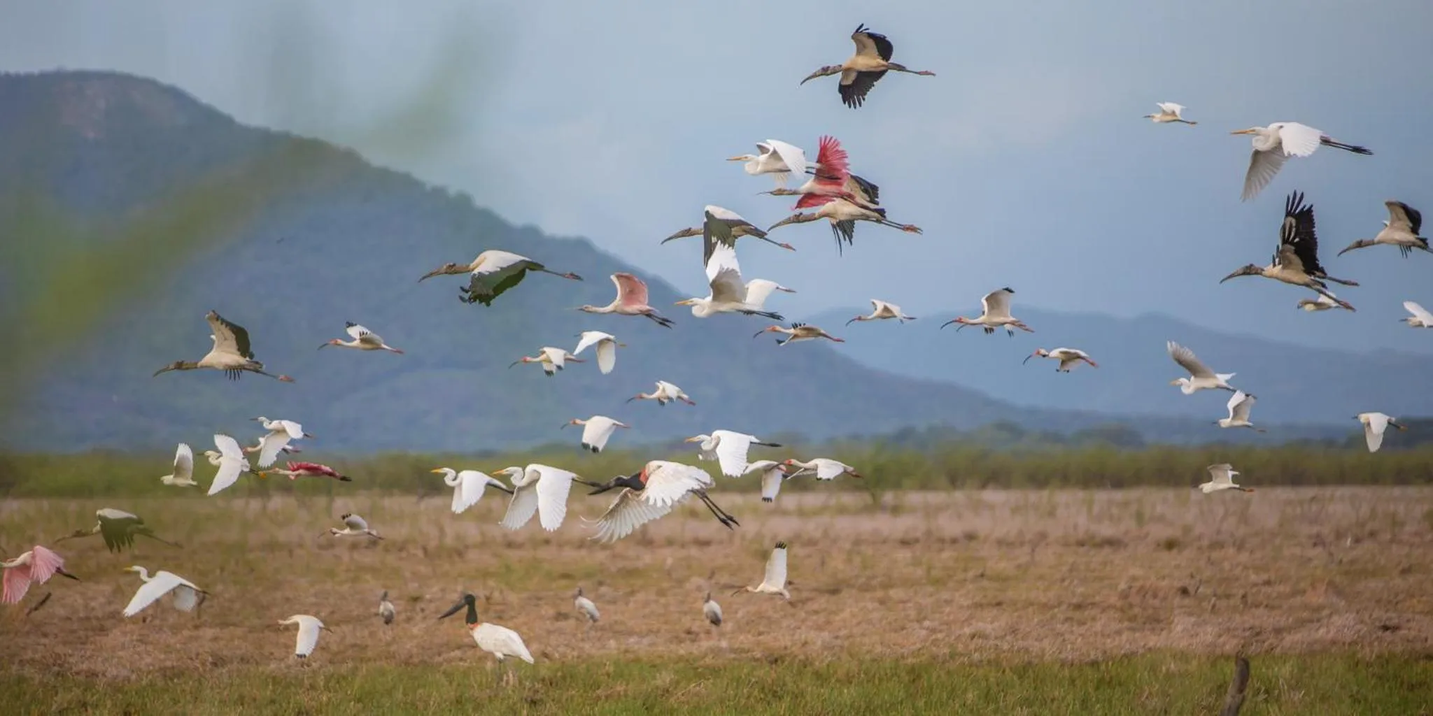 Natural landscape in Rancho Humo Estancia