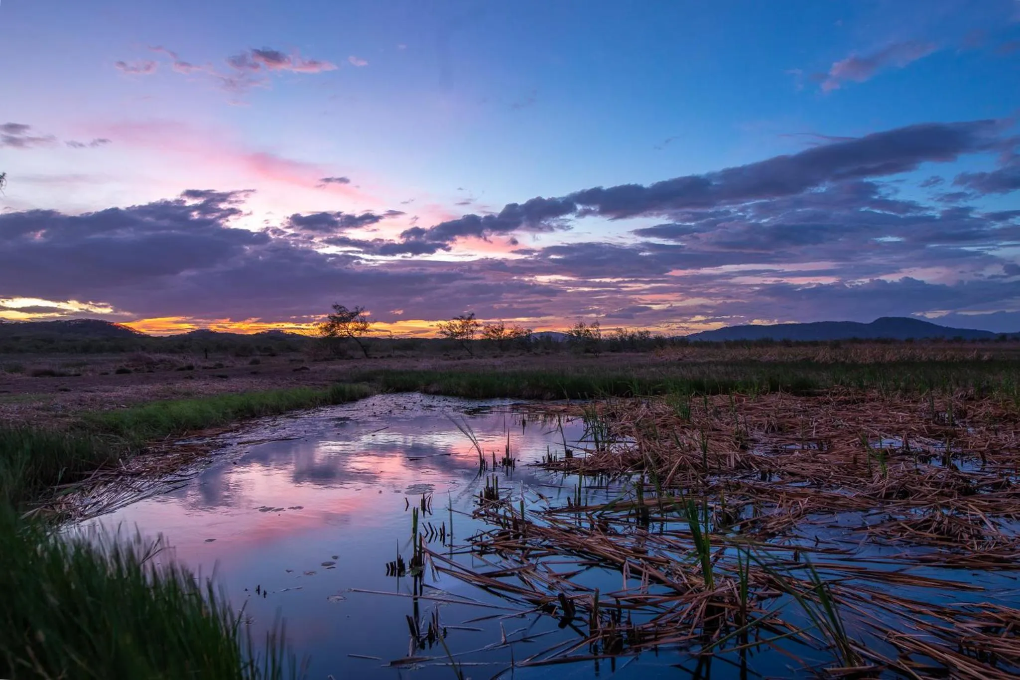 Natural landscape in Rancho Humo Estancia