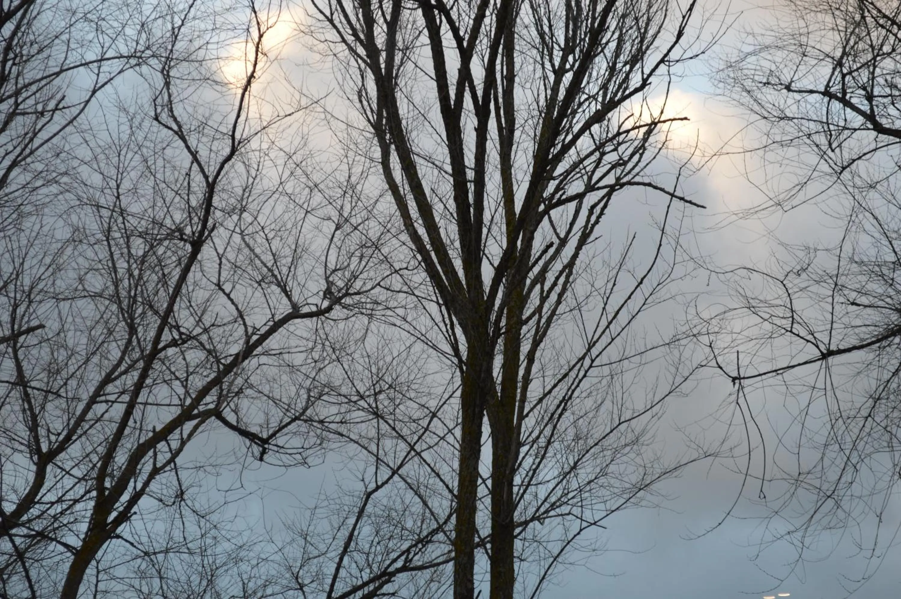 Other in Hotel Rural Las Monteras