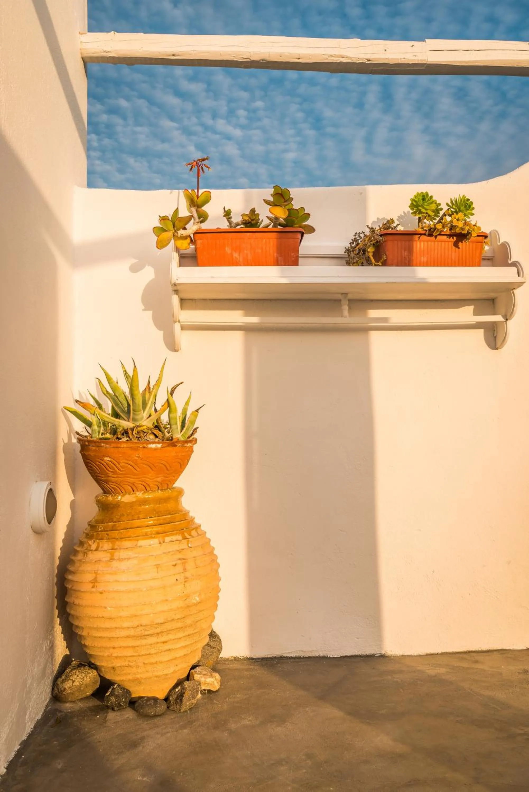 Area and facilities in Fava Eco Suites