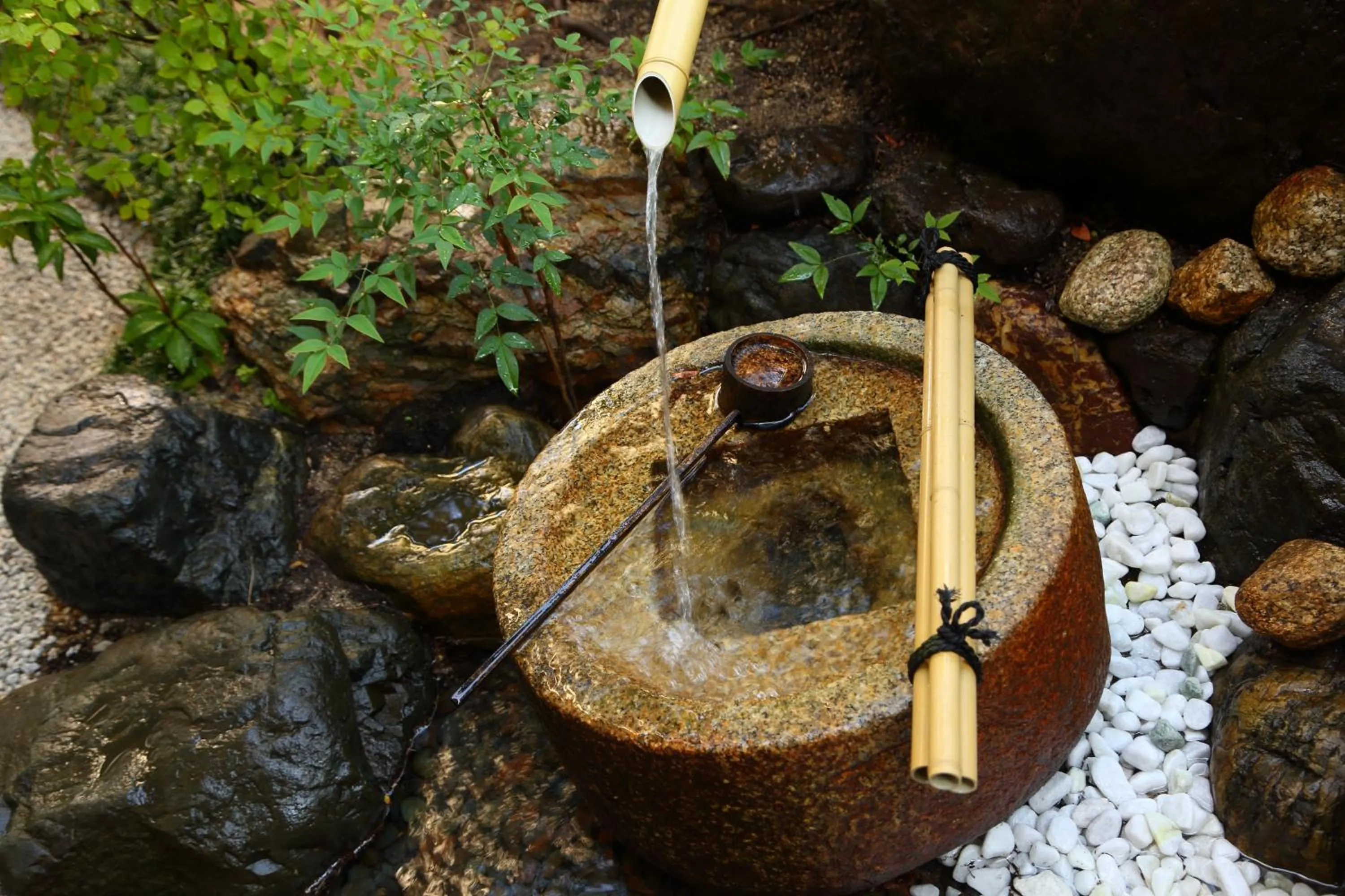 Garden view in Kyo-machiya Stay WAKA Fushimiinari