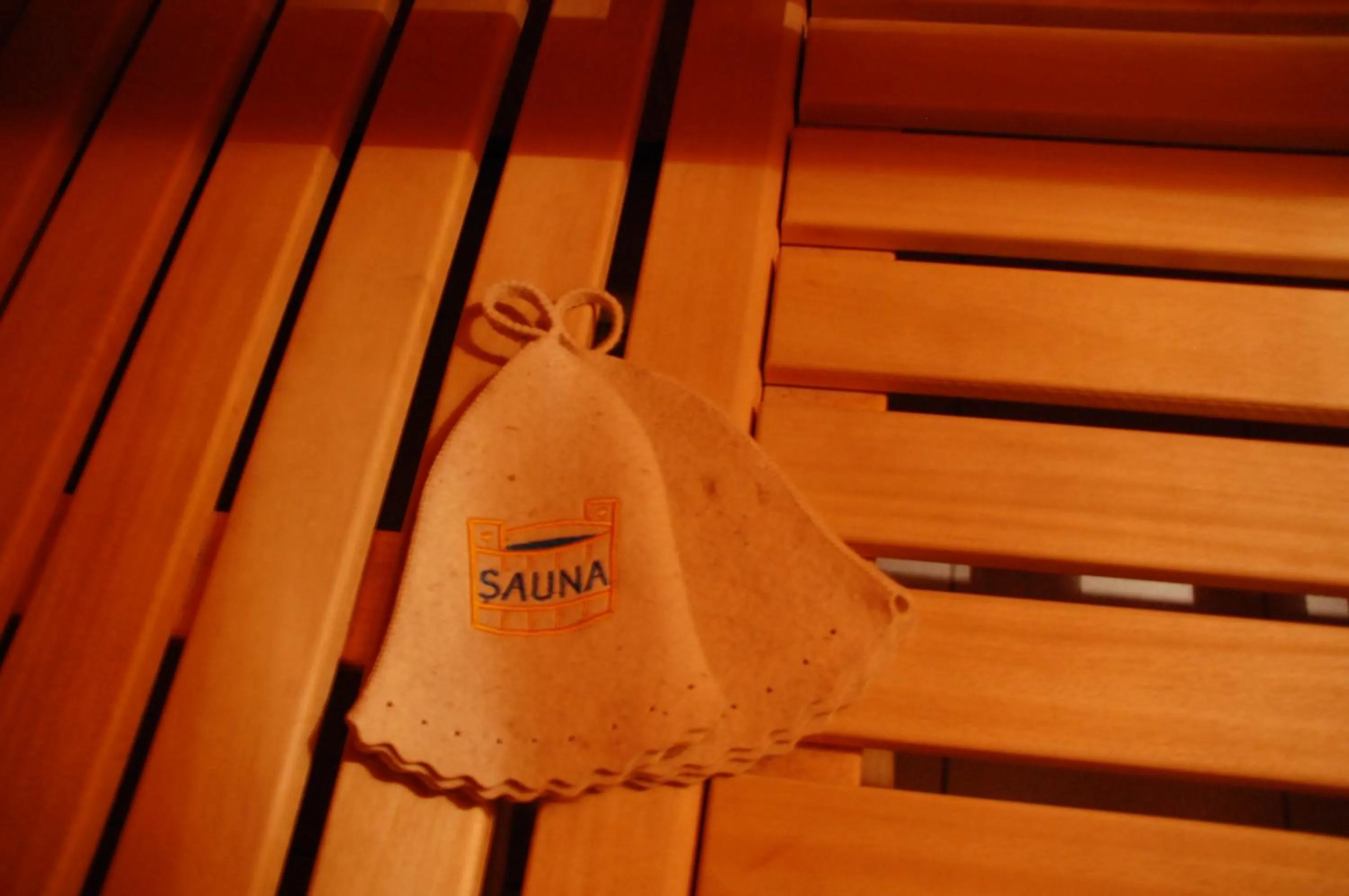 Sauna in Sporthotel Schönblick