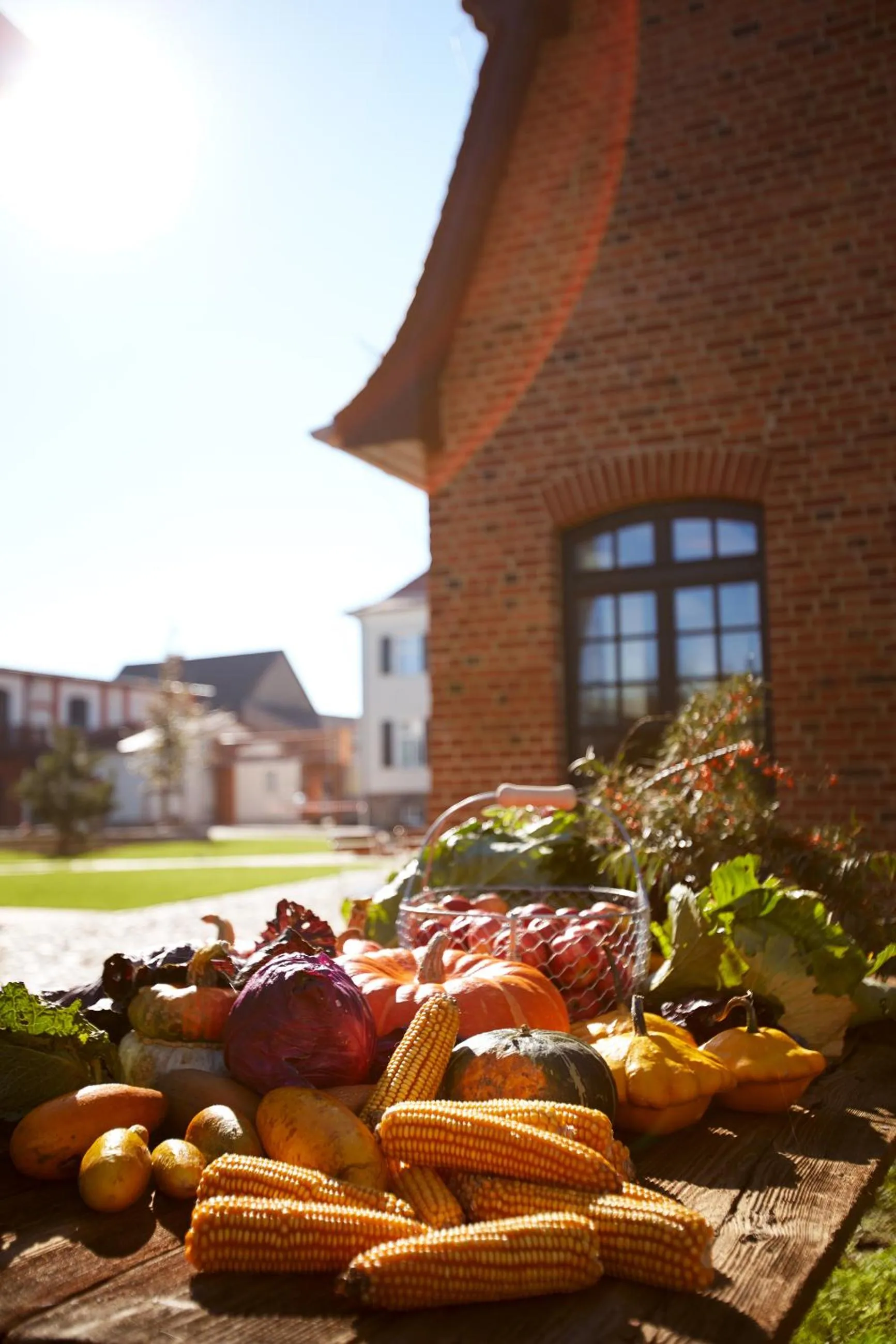 Patio in Paulinenhof