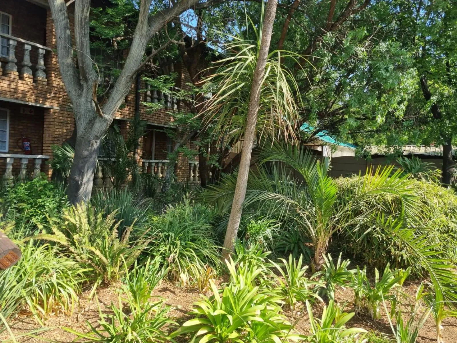 Garden view in Airport Inn Bed and Breakfast