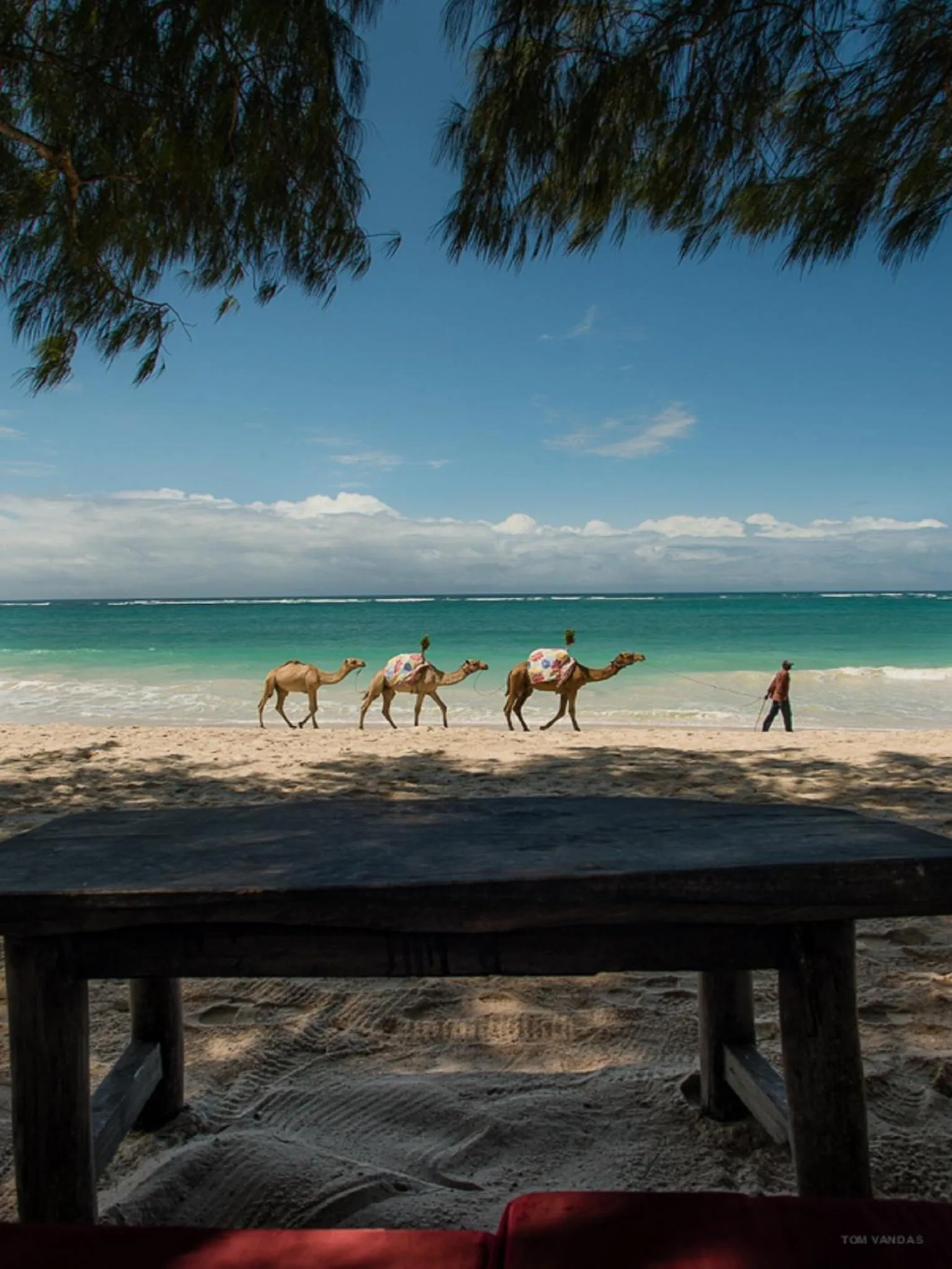 Beach in Bahari Dhow Beach Villas