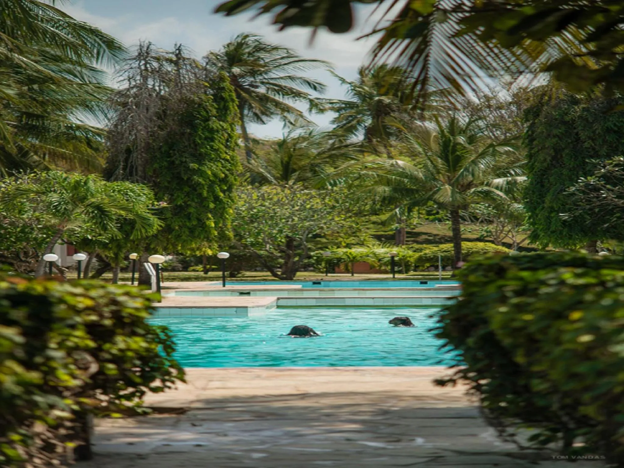 Swimming pool in Bahari Dhow Beach Villas