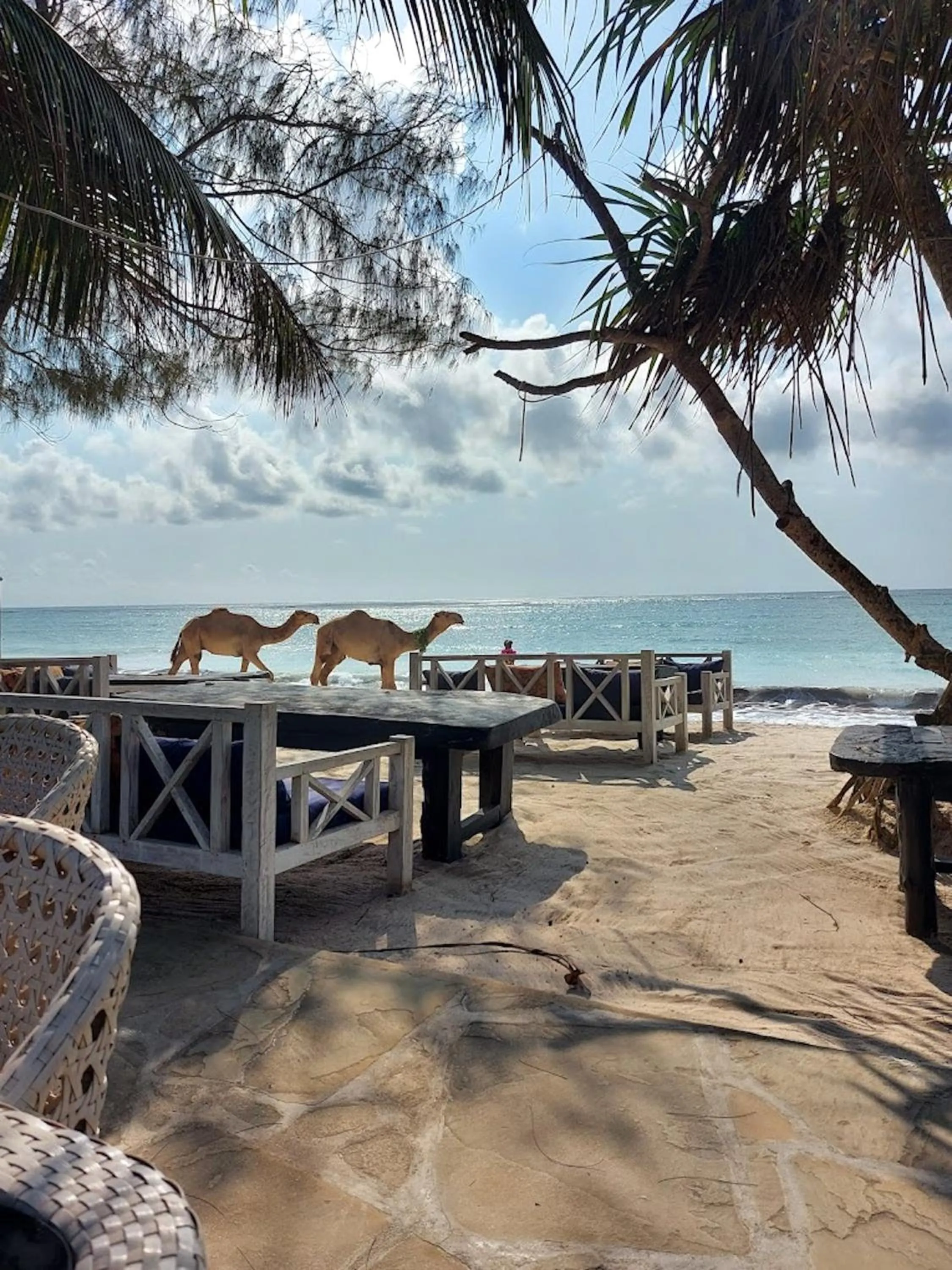 Beach in Bahari Dhow Beach Villas