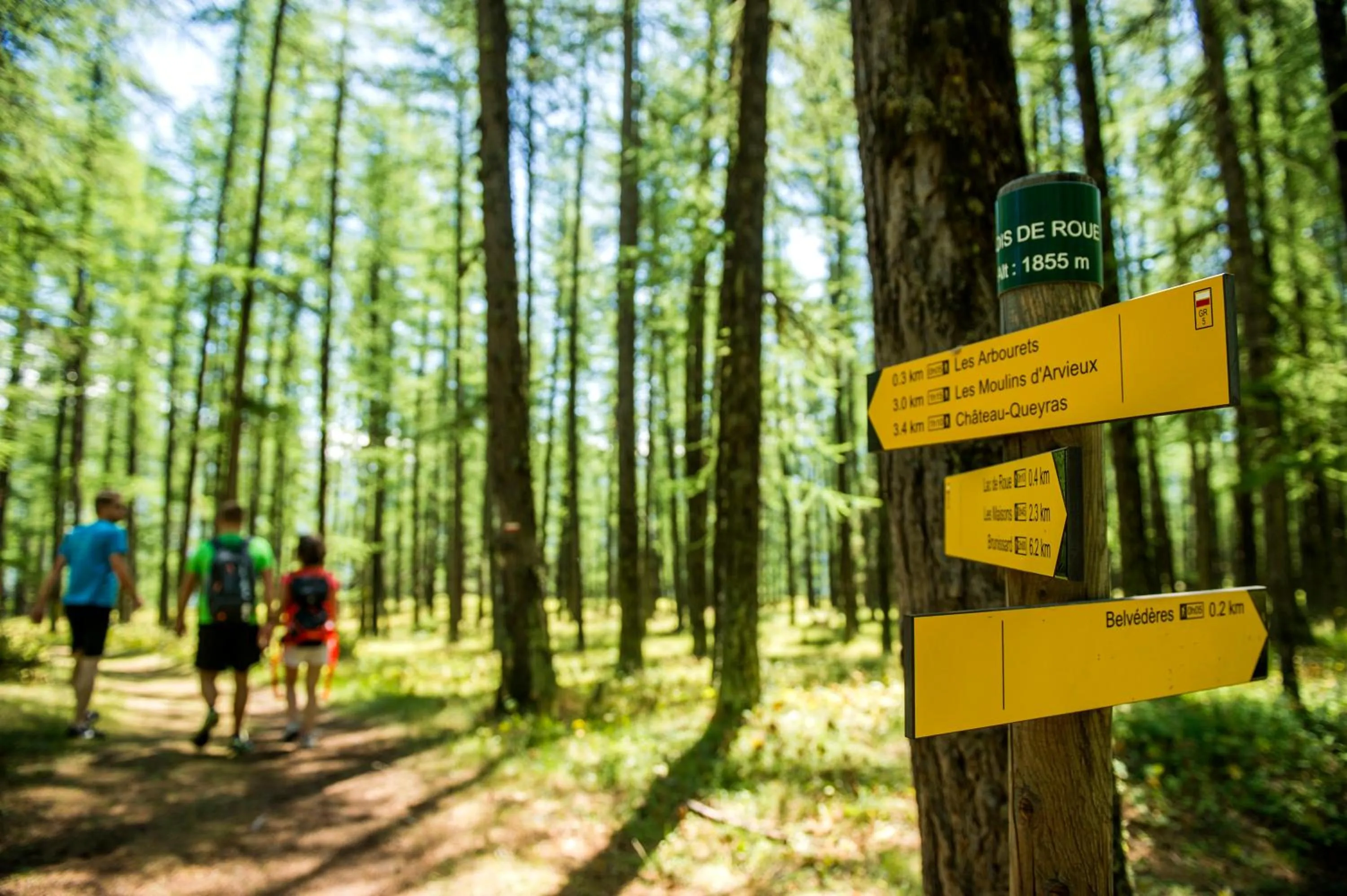 Activities in VTF Les Esquirousses