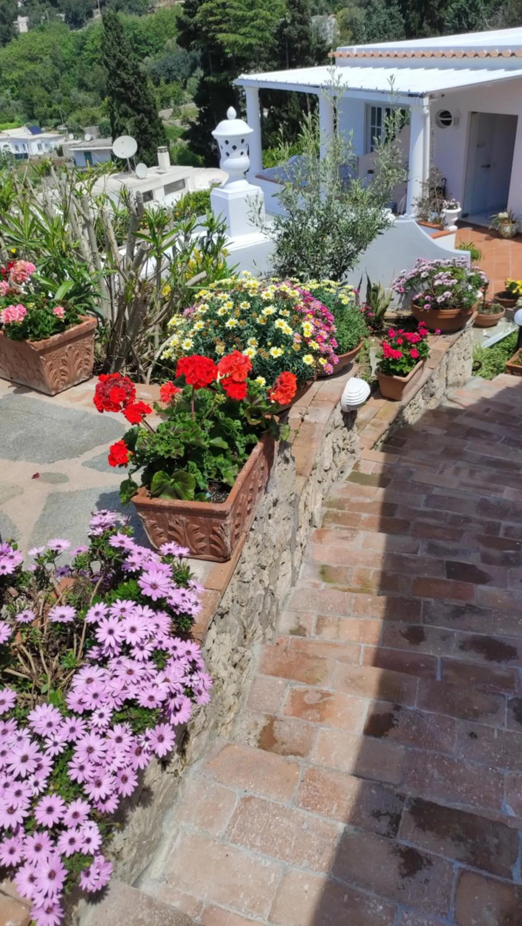 Garden in B&B Villa Cristina