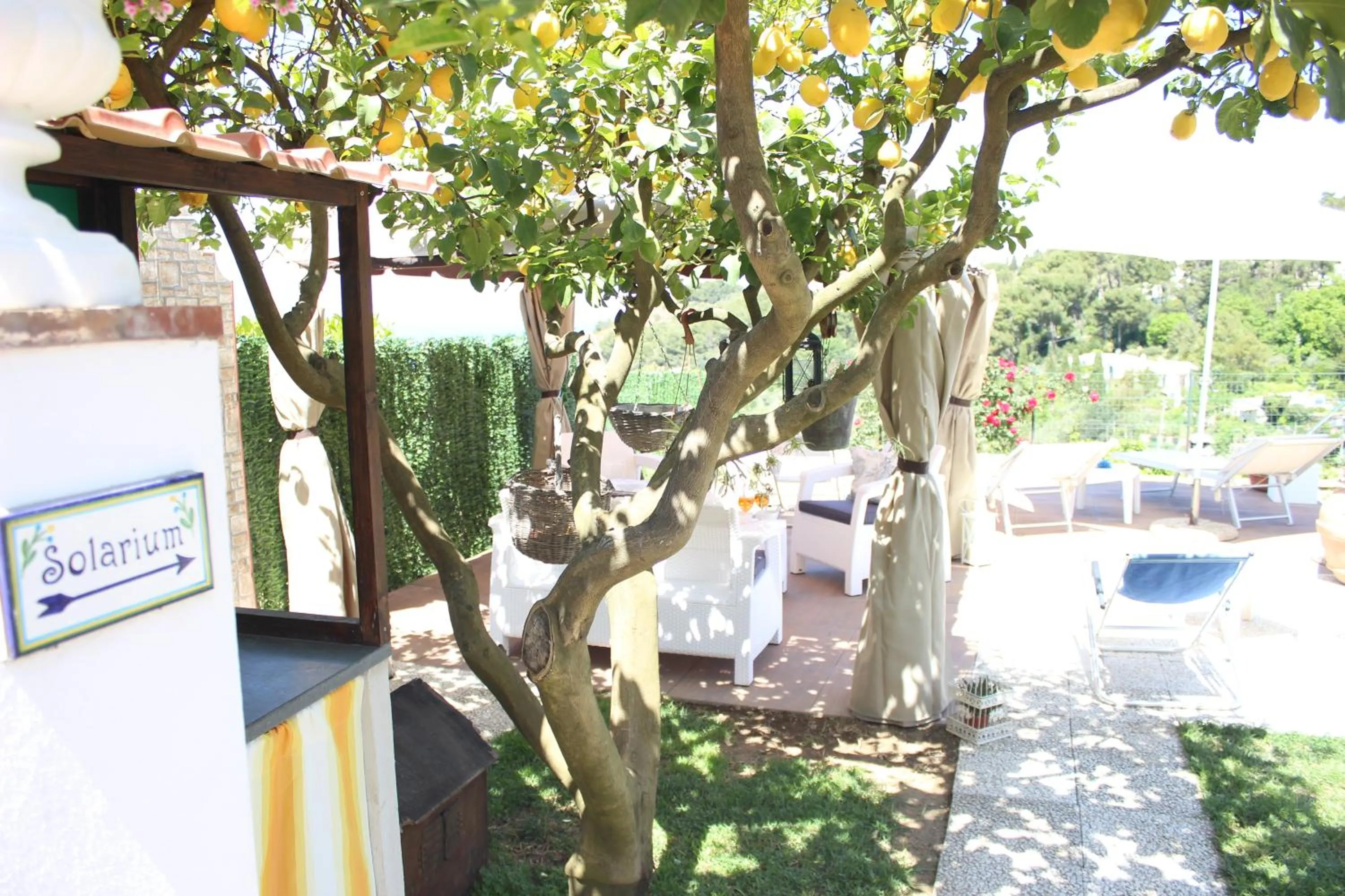 Garden in B&B Villa Cristina