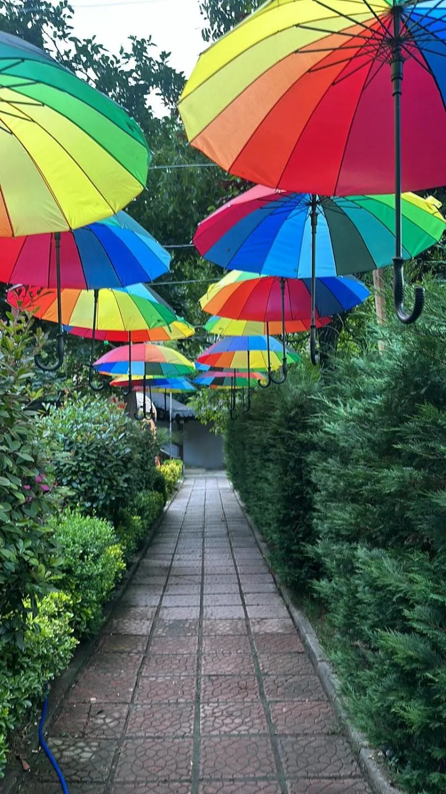 Sapanca Gönül Sofram Hotel & Bungalow & Villas