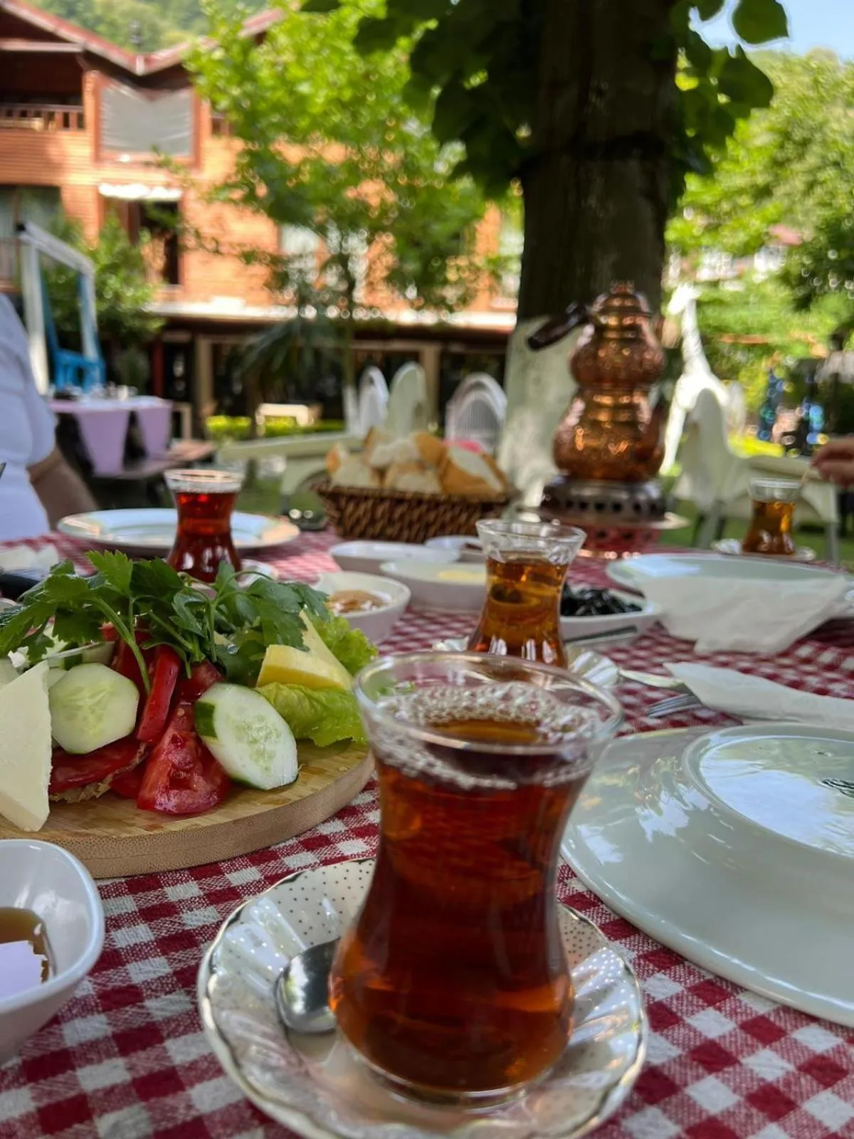 Food and drinks in Sapanca Gönül Sofram Hotel & Bungalow & Villas