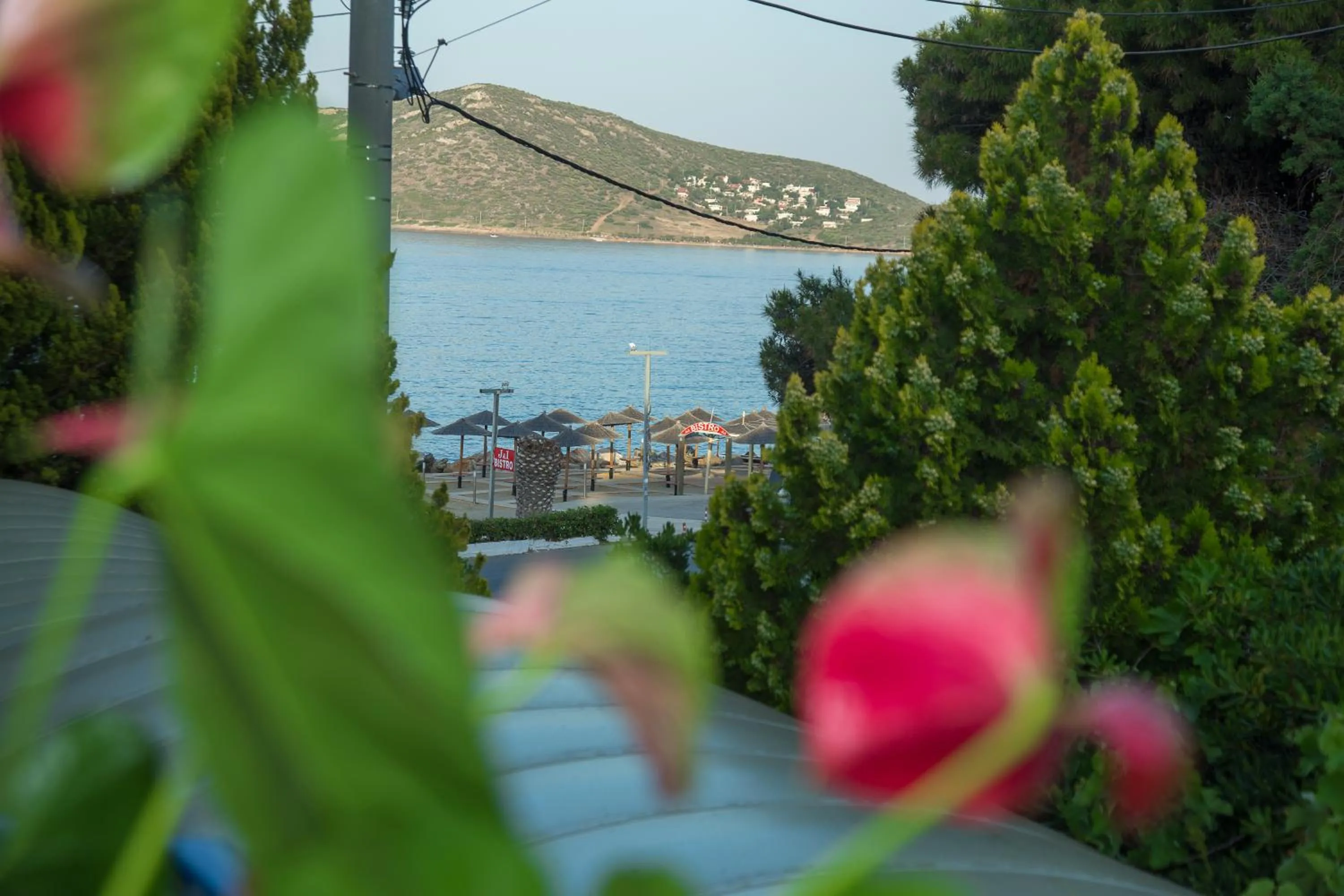 Spring in Kiani Akti