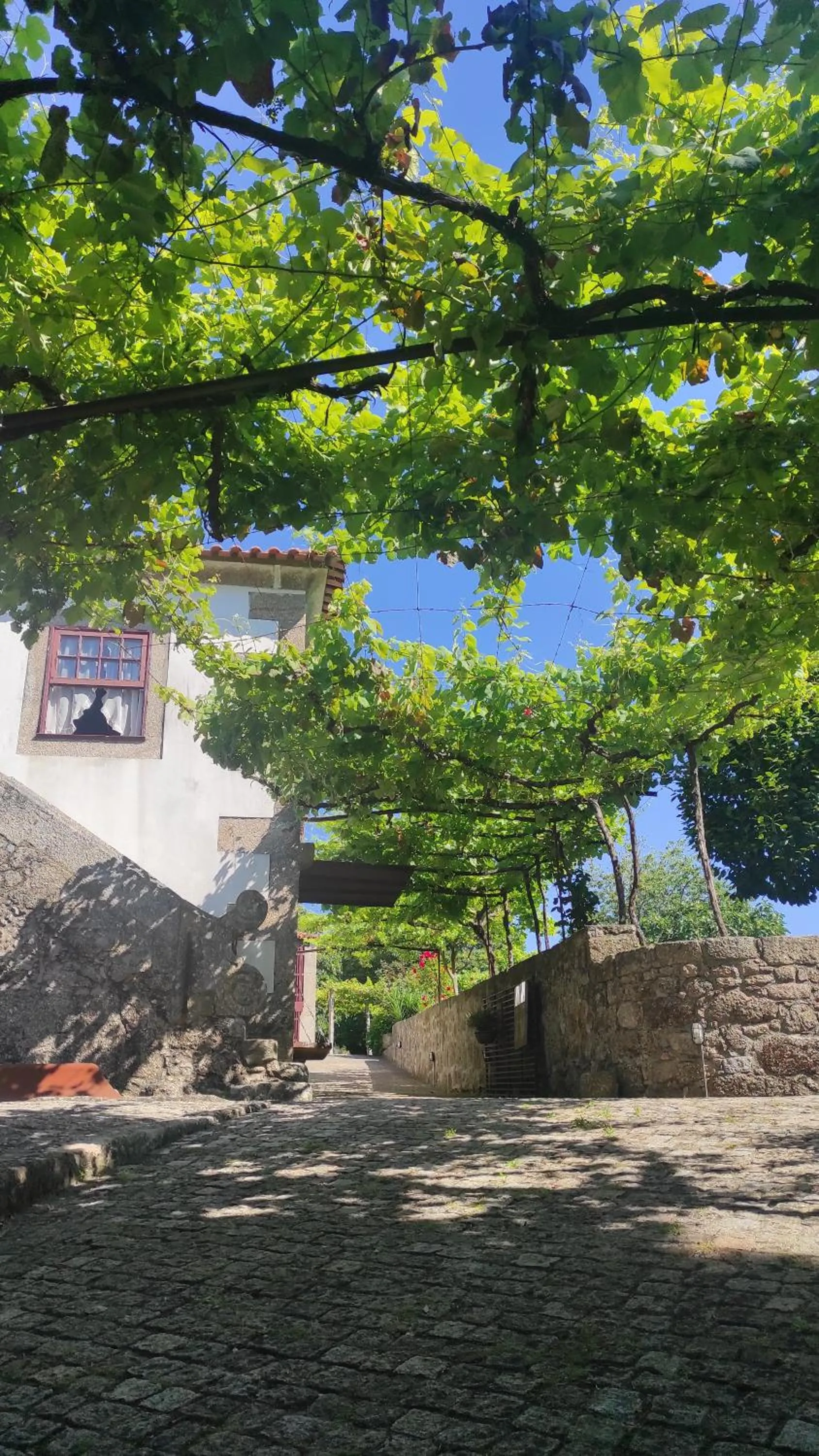 Spring in Casas da Quinta da Cancela