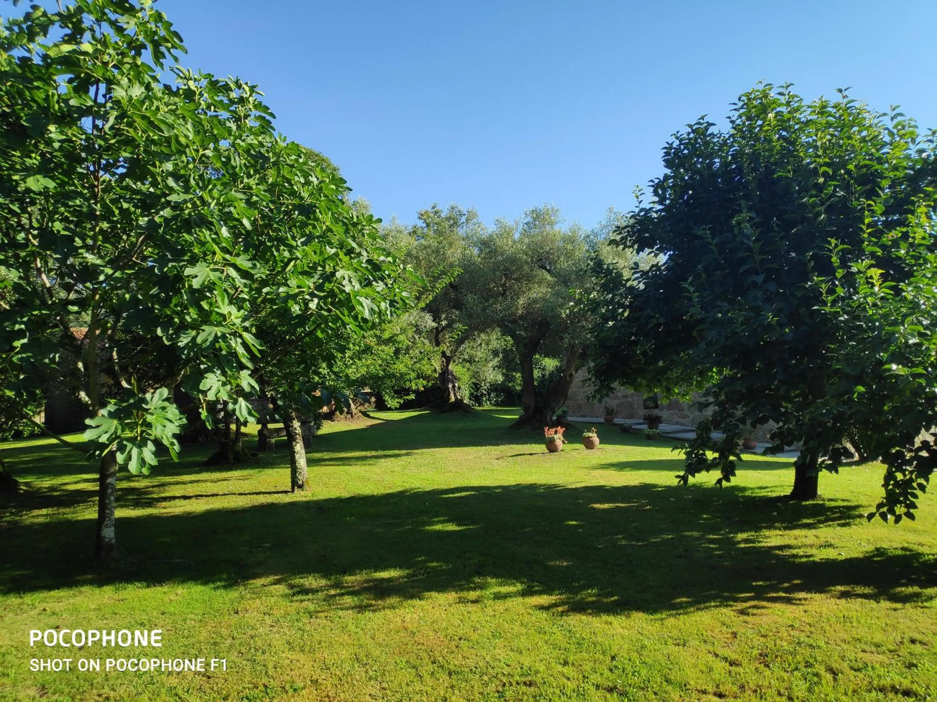 Spring in Casas da Quinta da Cancela