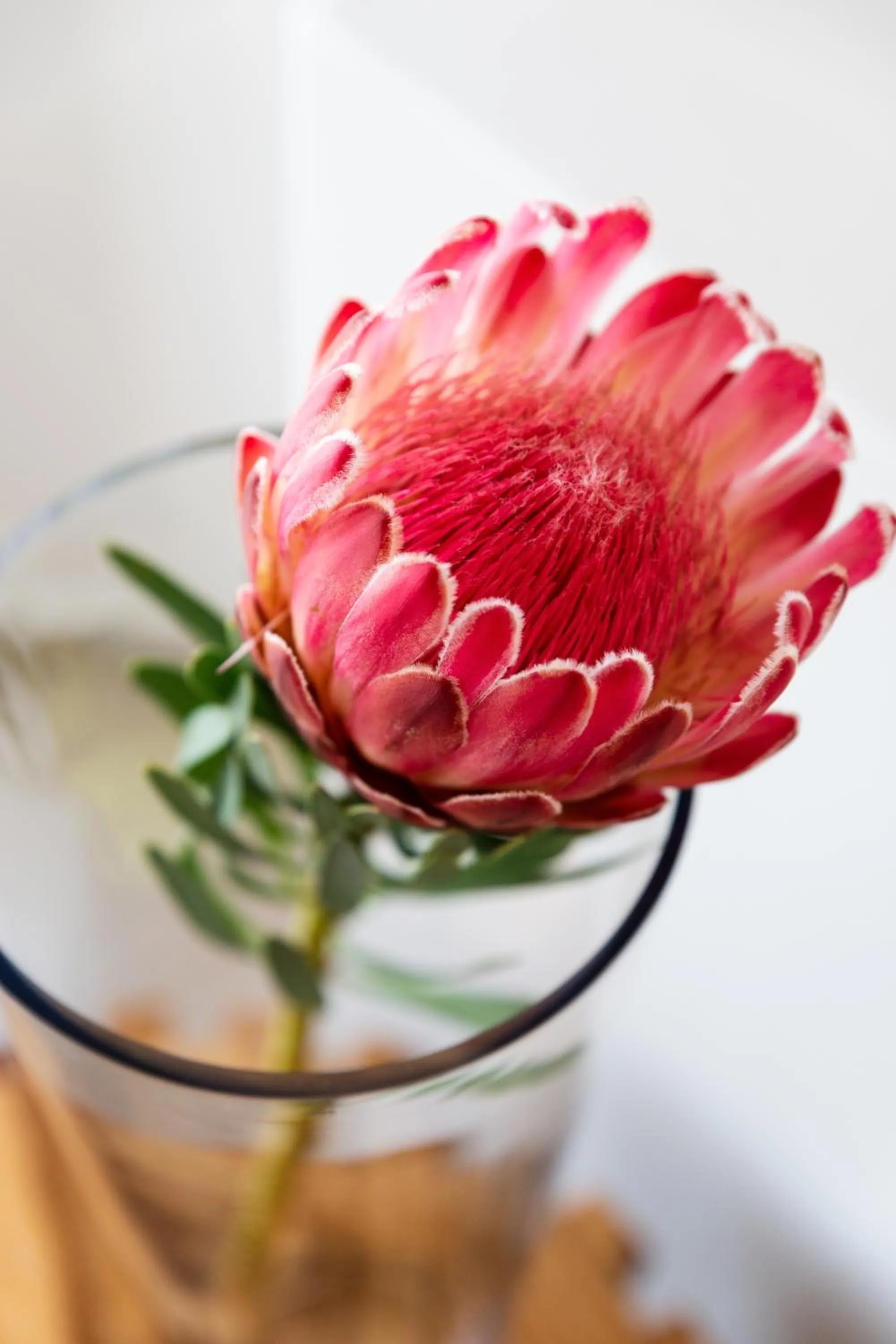 Villa Afrikana Guest Suites by Knysna Paradise Collection