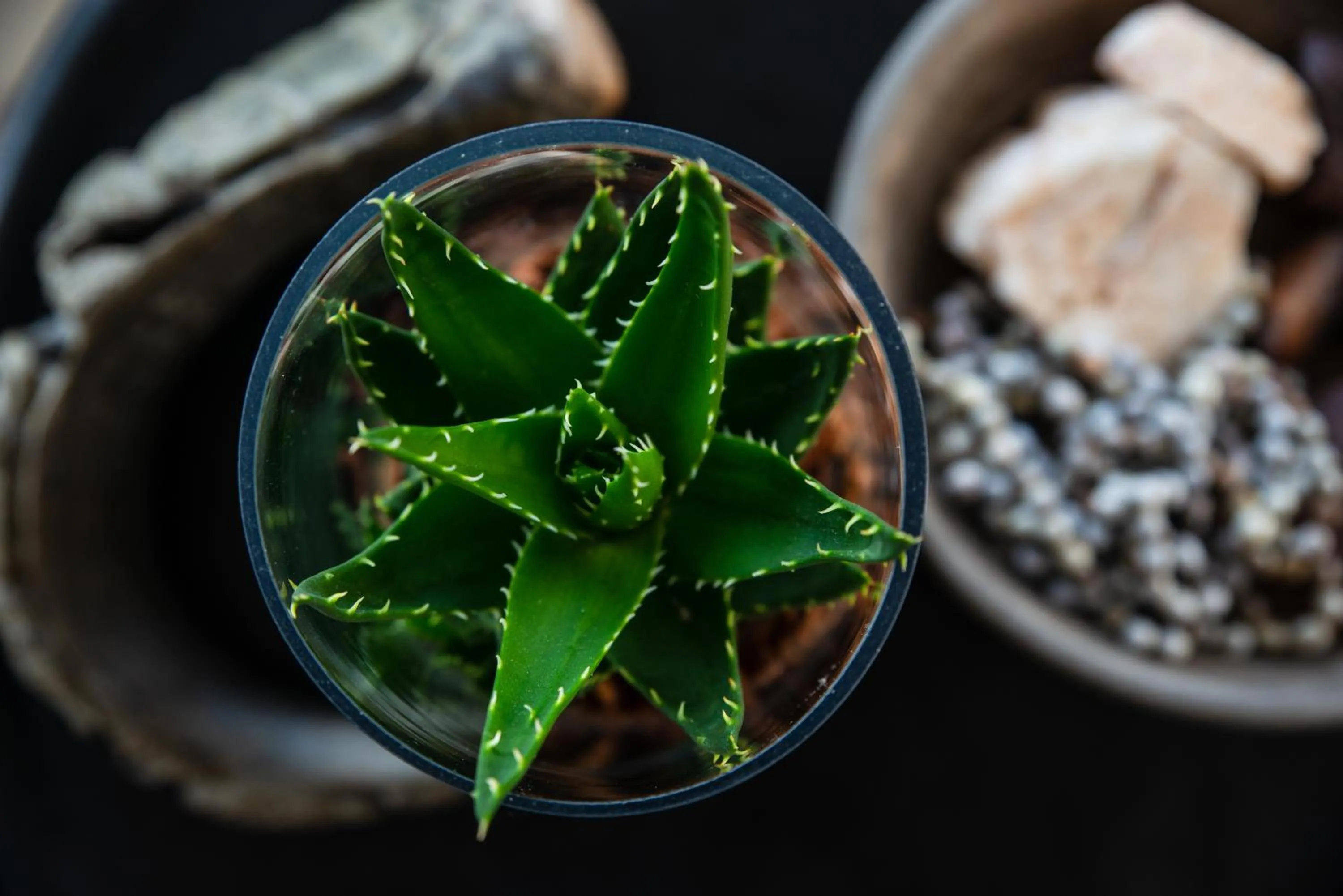 Villa Afrikana Guest Suites by Knysna Paradise Collection