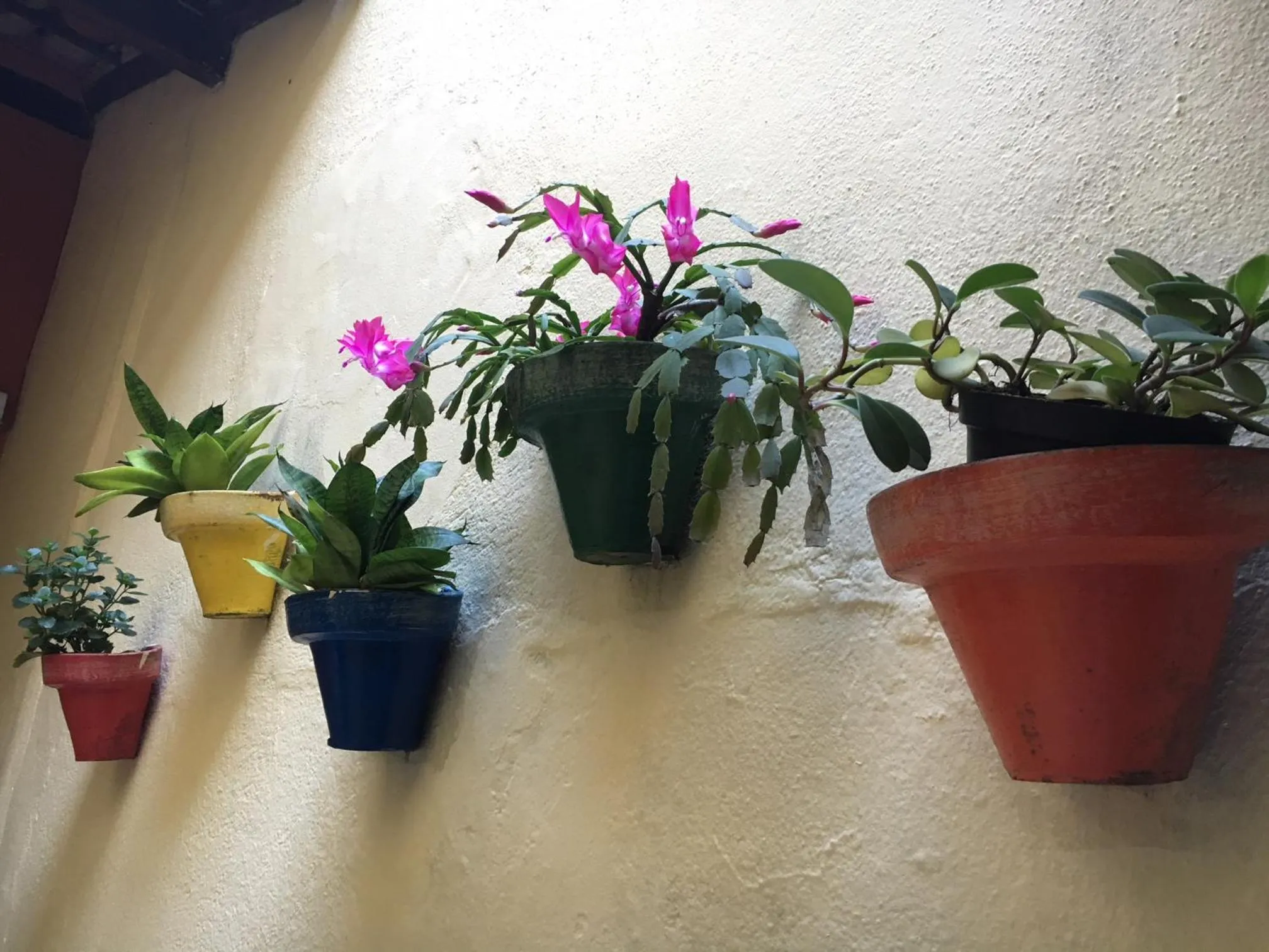 Decorative detail in Palace Hotel