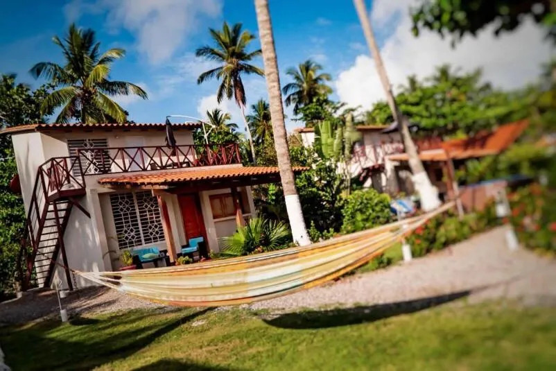 View (from property/room) in 21 Palms