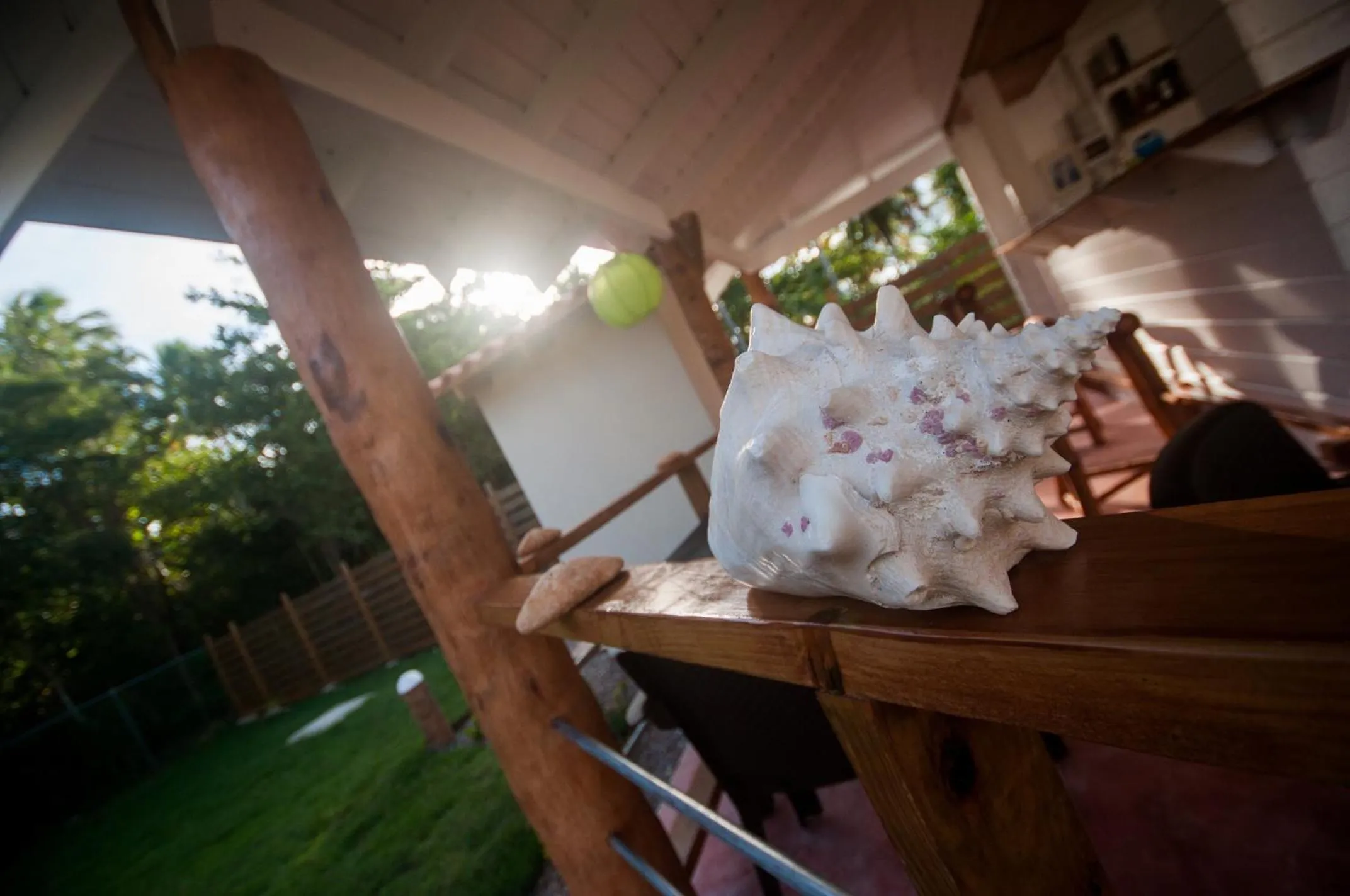 Decorative detail in 21 Palms