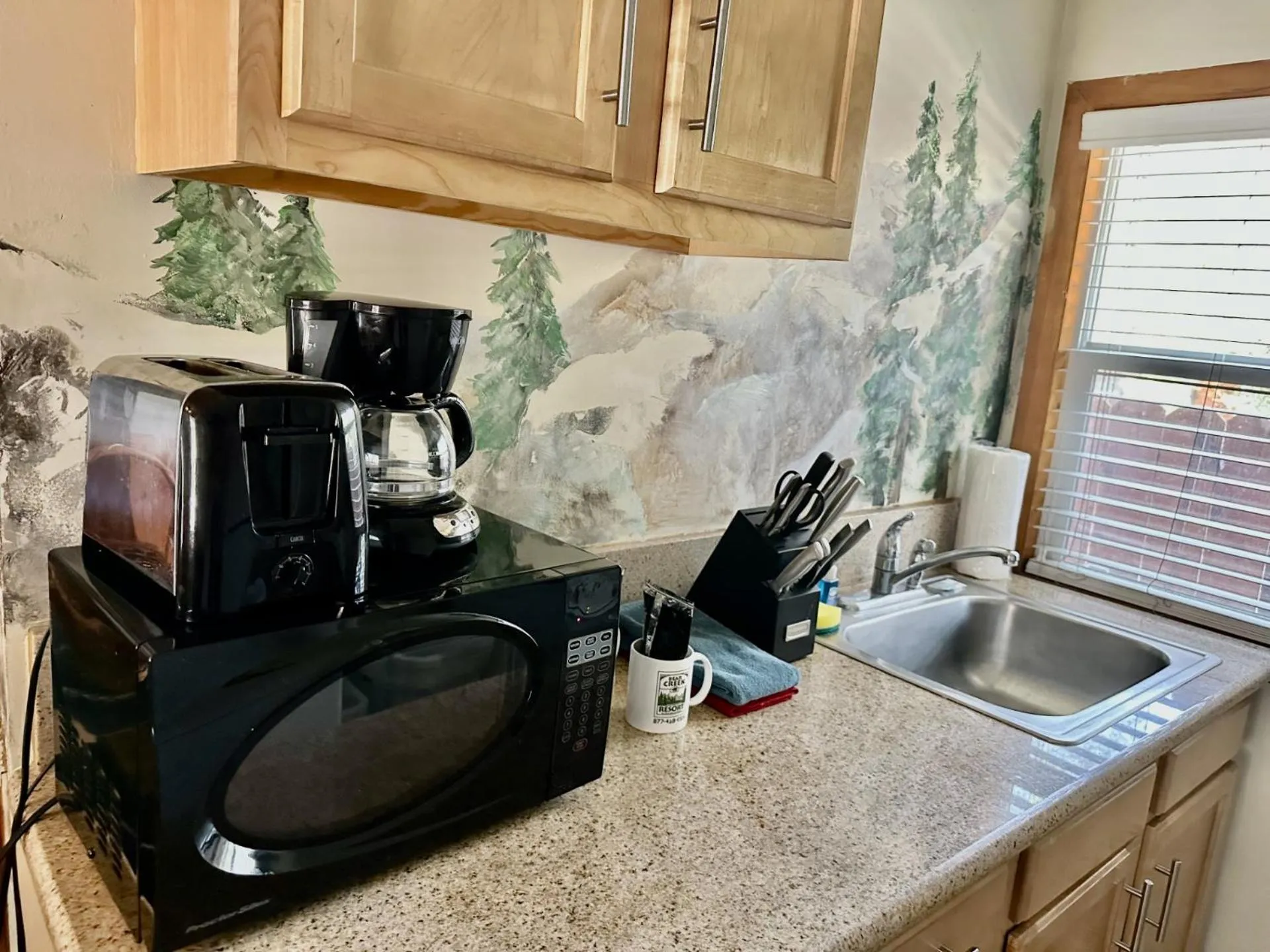 Kitchen or kitchenette in Bear Creek Resort
