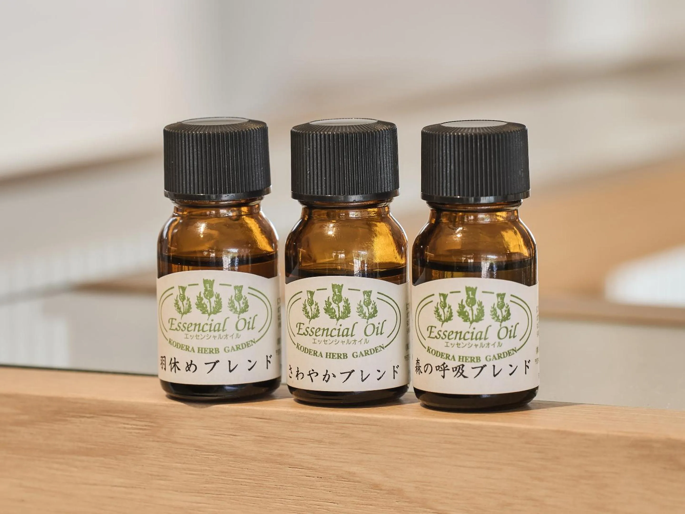 Lounge or bar in Setre Highland Villa Himeji