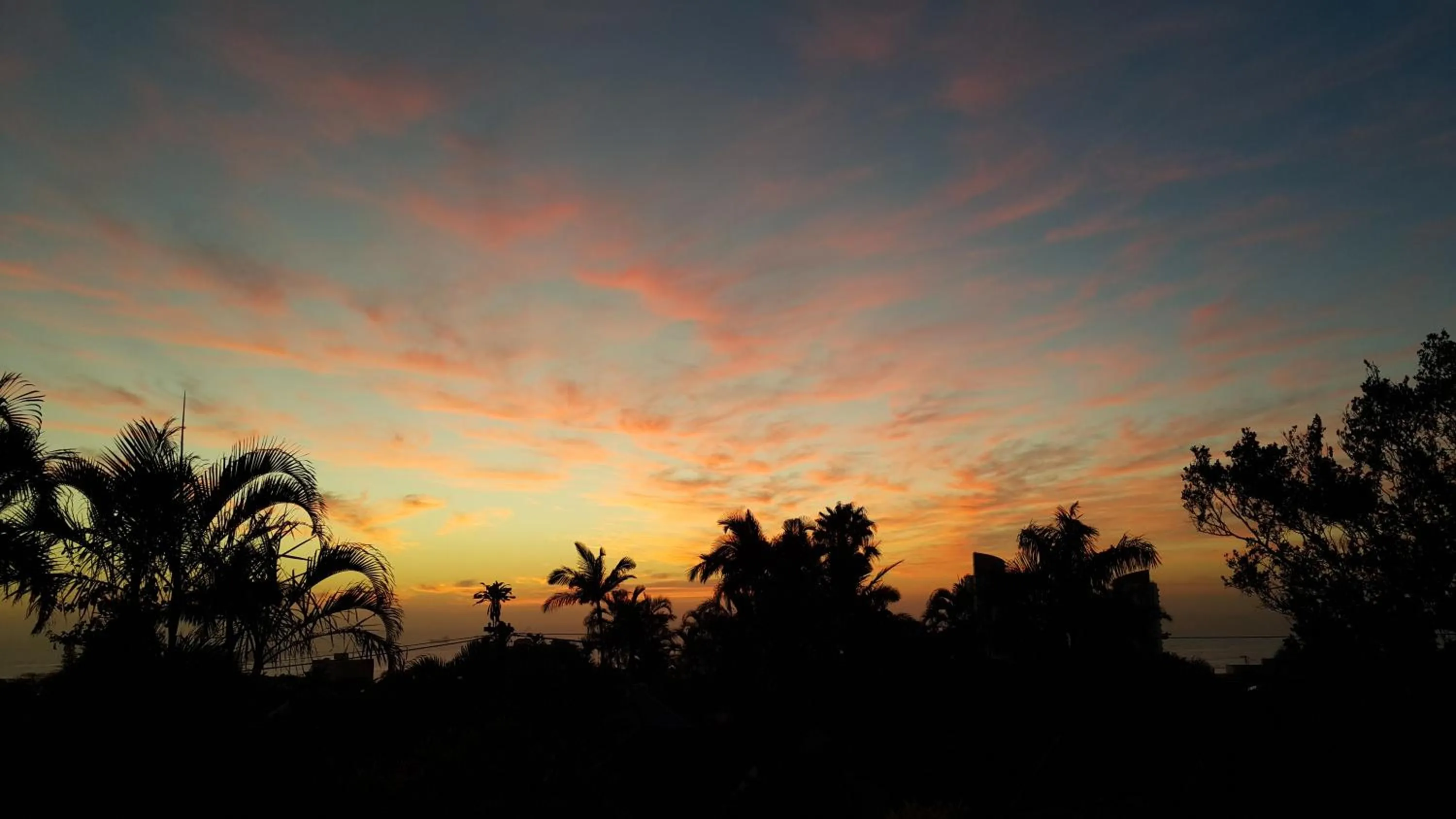 View (from property/room) in Crooked Tree Cottage