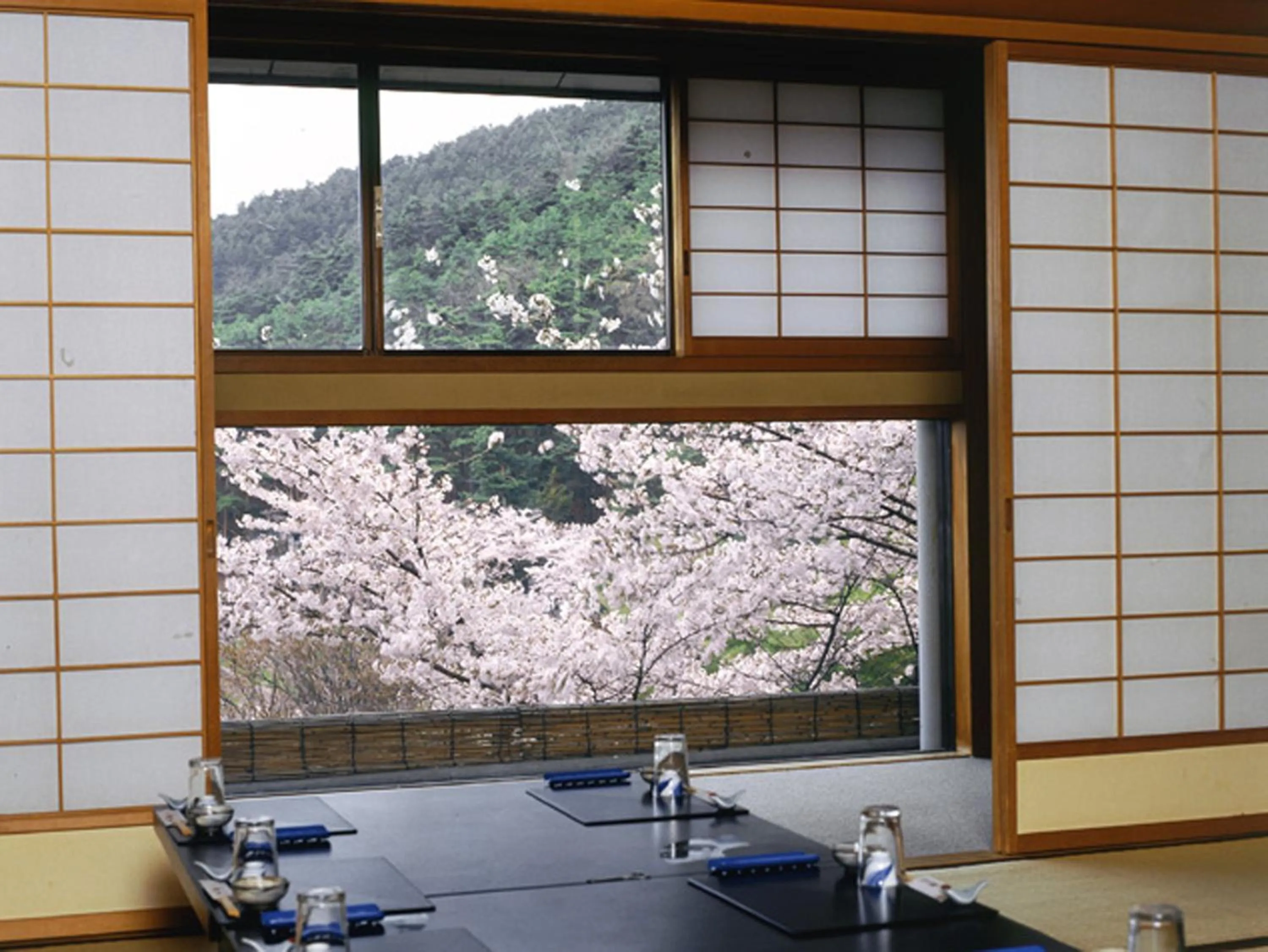 Restaurant/places to eat in Momoyama